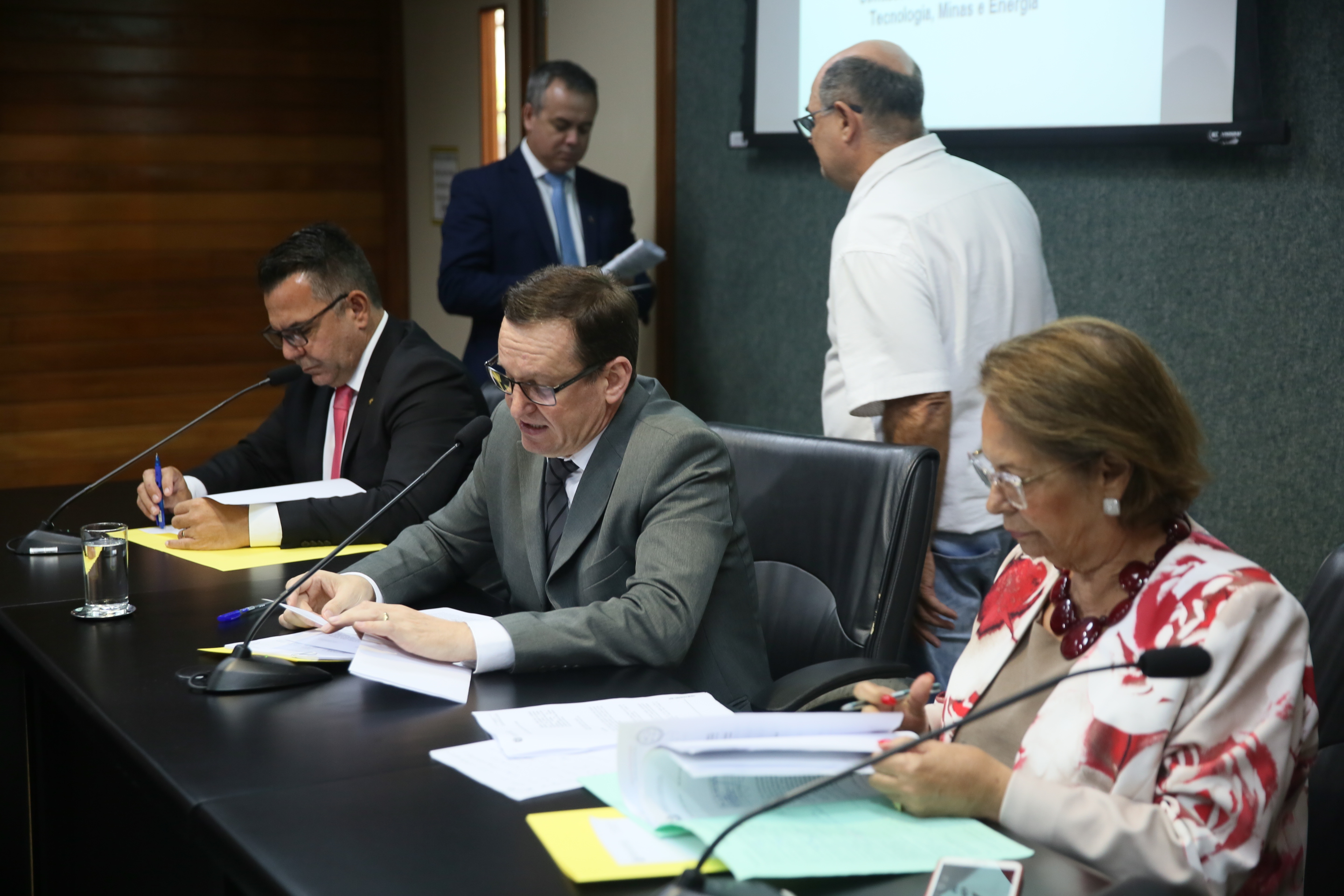 Reunião da Comissão de Economia, Ciência, Tecnologia, Minas e Energia.