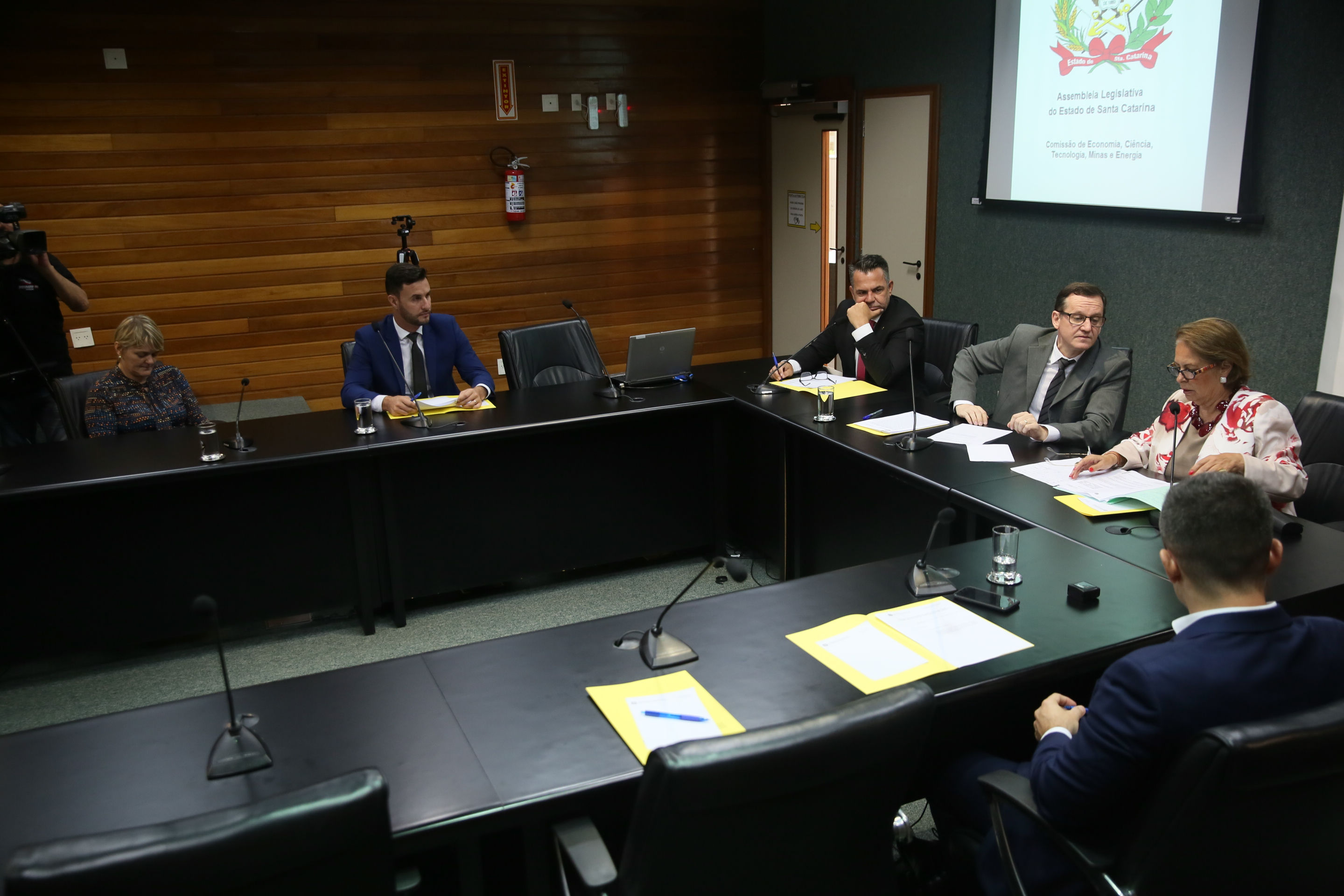 Reunião da Comissão de Economia, Ciência, Tecnologia, Minas e Energia.