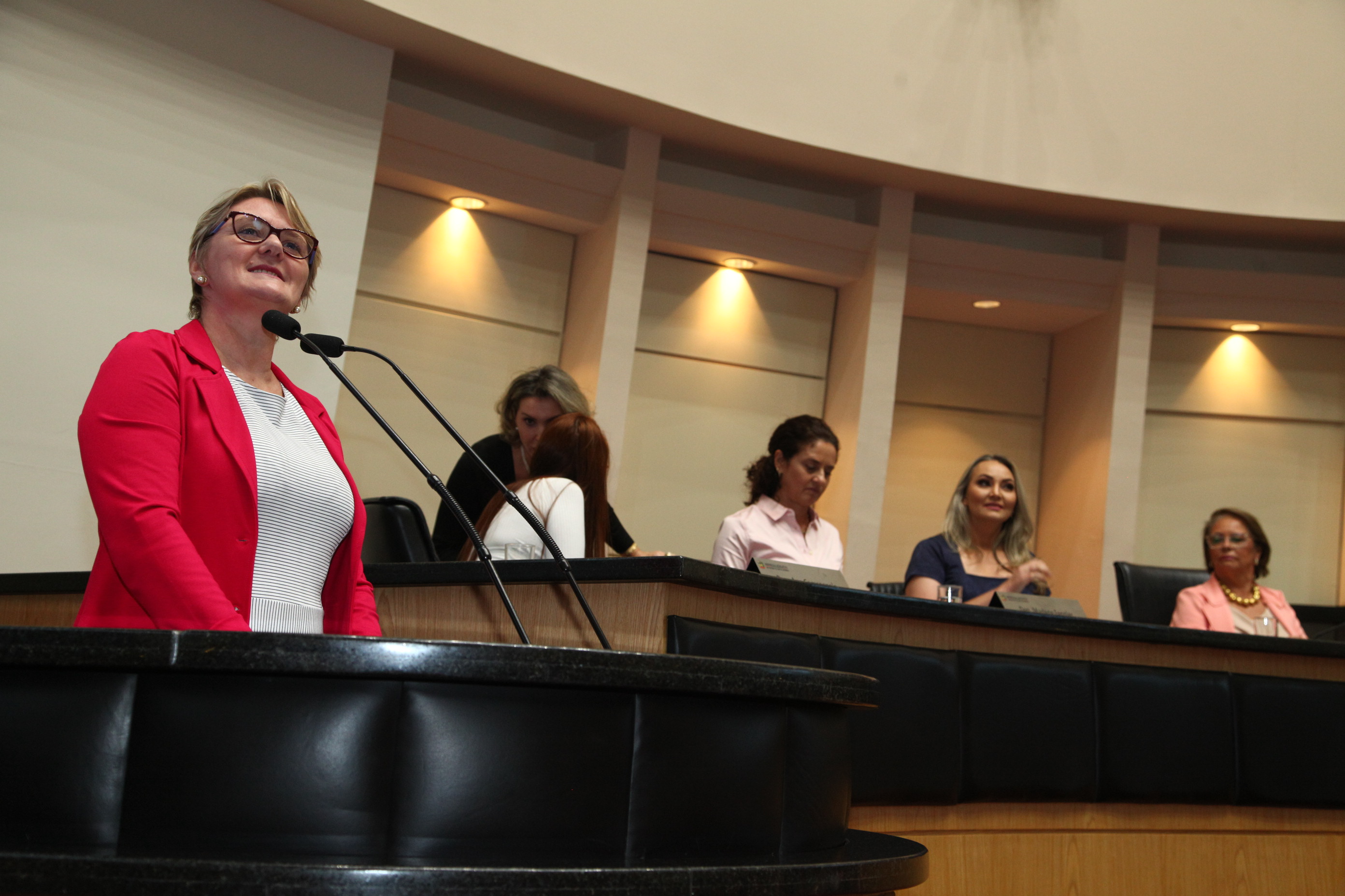 Sessão Especial em comemoração ao Dia Internacional da Mulher - Deputada Luciane Carminatti (PT)