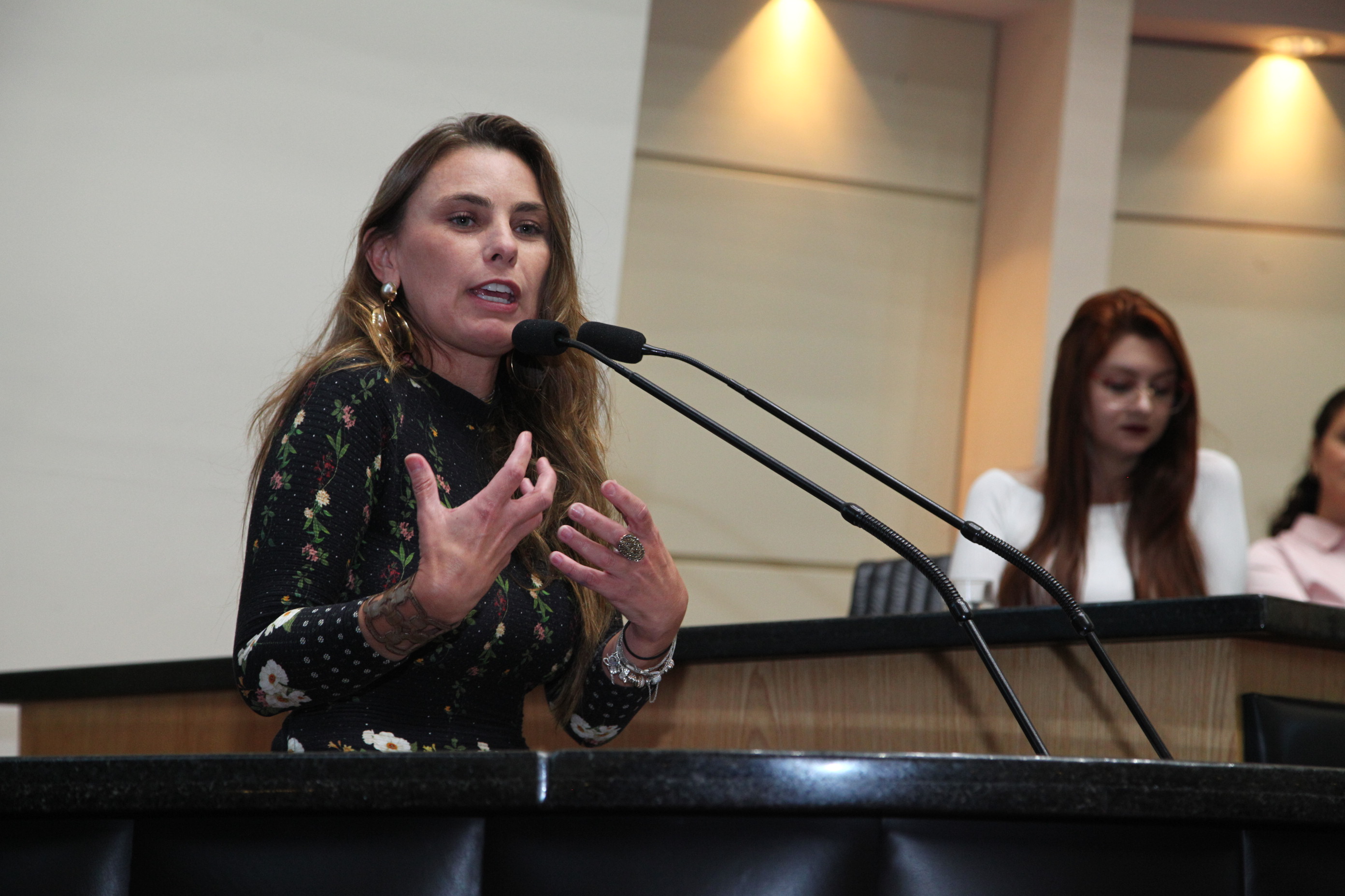 Sessão Especial em comemoração ao Dia Internacional da Mulher - Deputada Ana Paula da Silva (PDT)