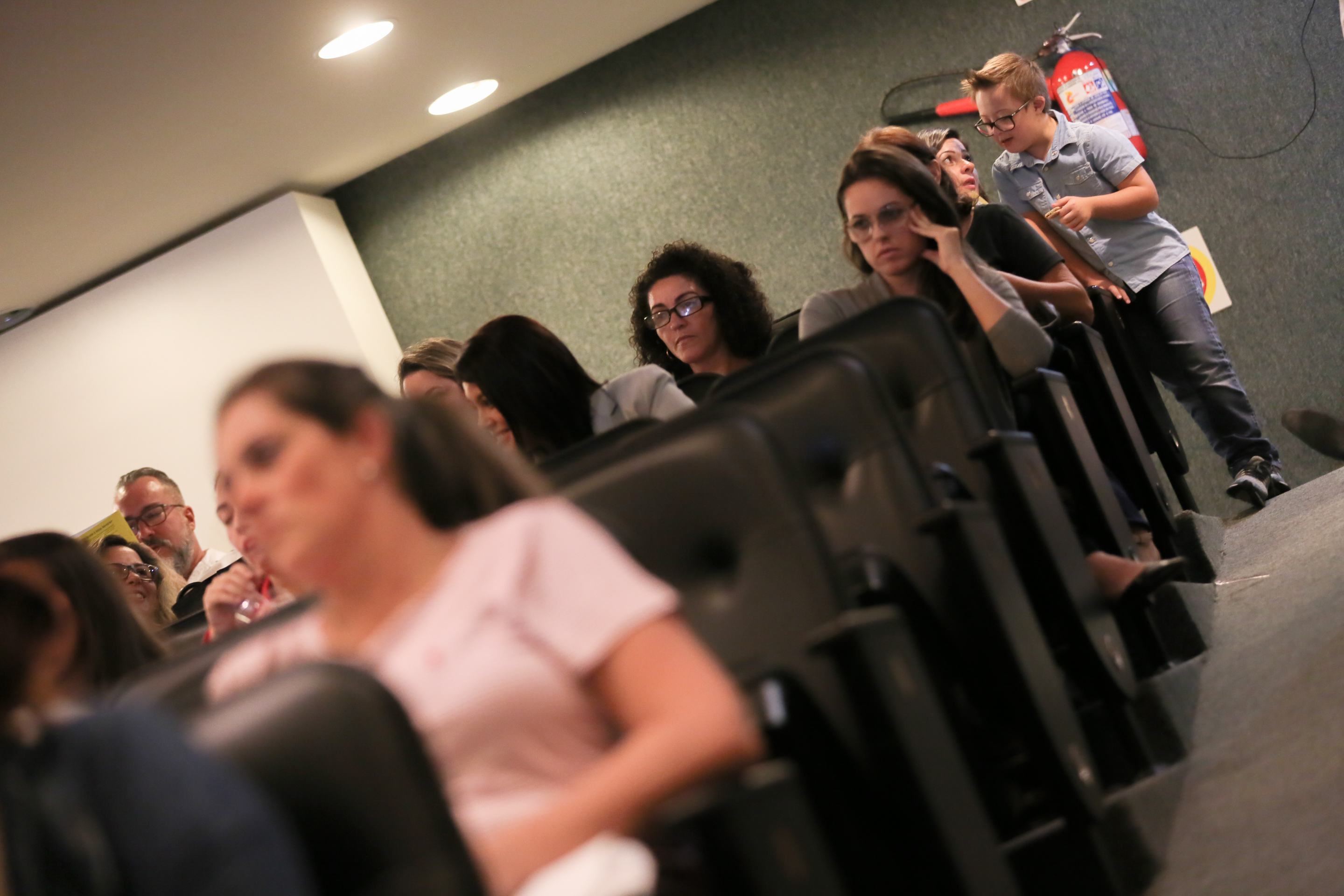 Seminário Estadual Sobre Síndrome de Down.