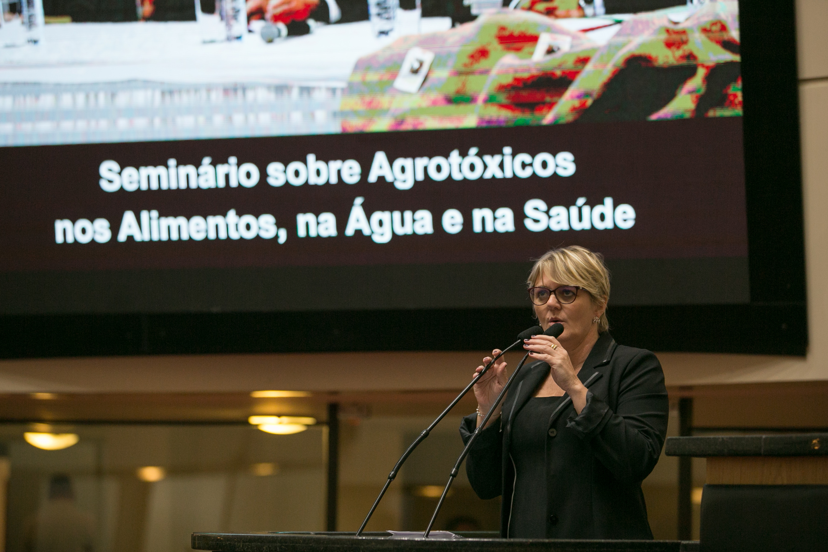Deputada Luciane Carminatti (PT)