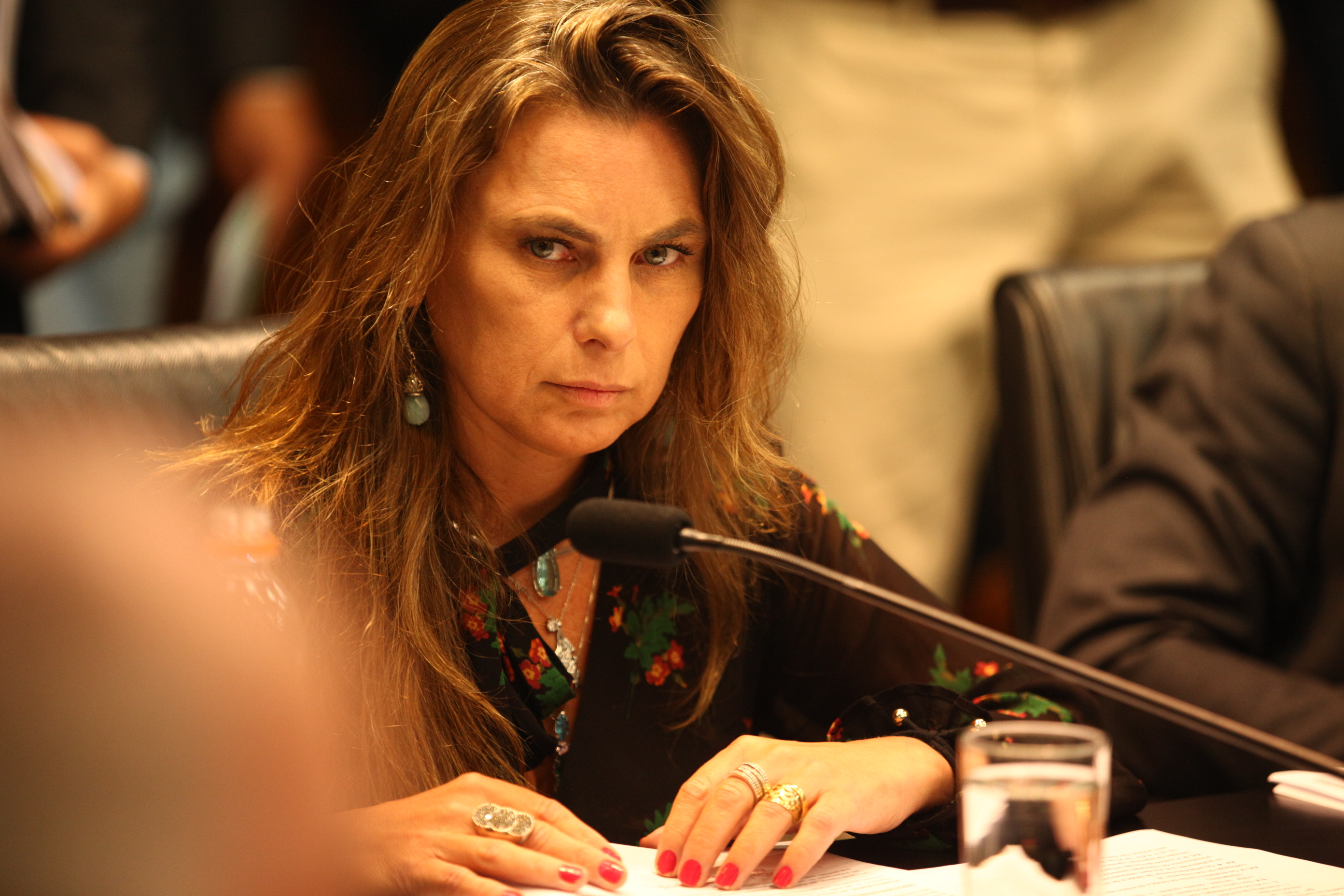 Comissão de Constituição e Justiça - Deputada Ana Paula da Silva (PDT)
