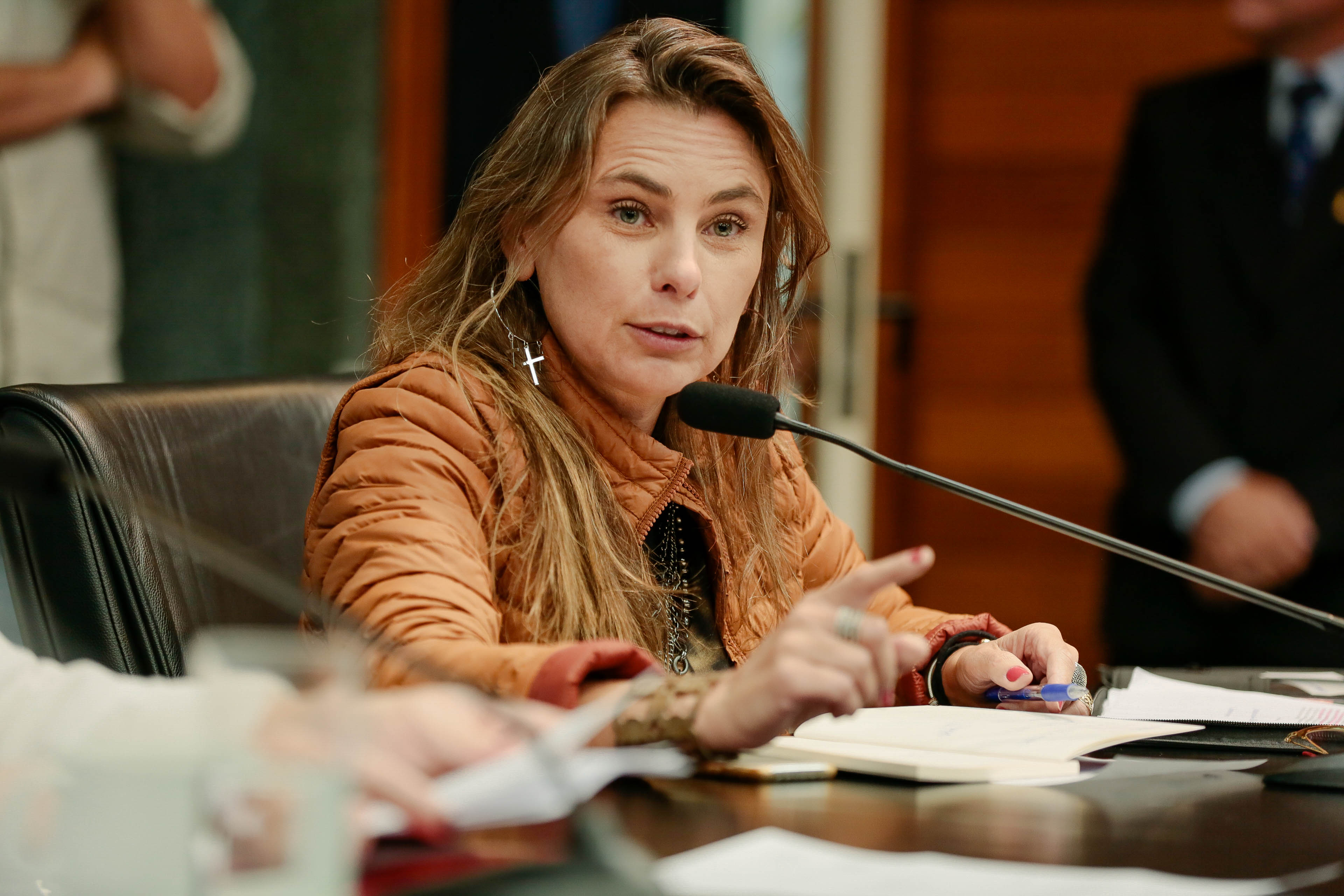 Deputada Paulinha (PDT)