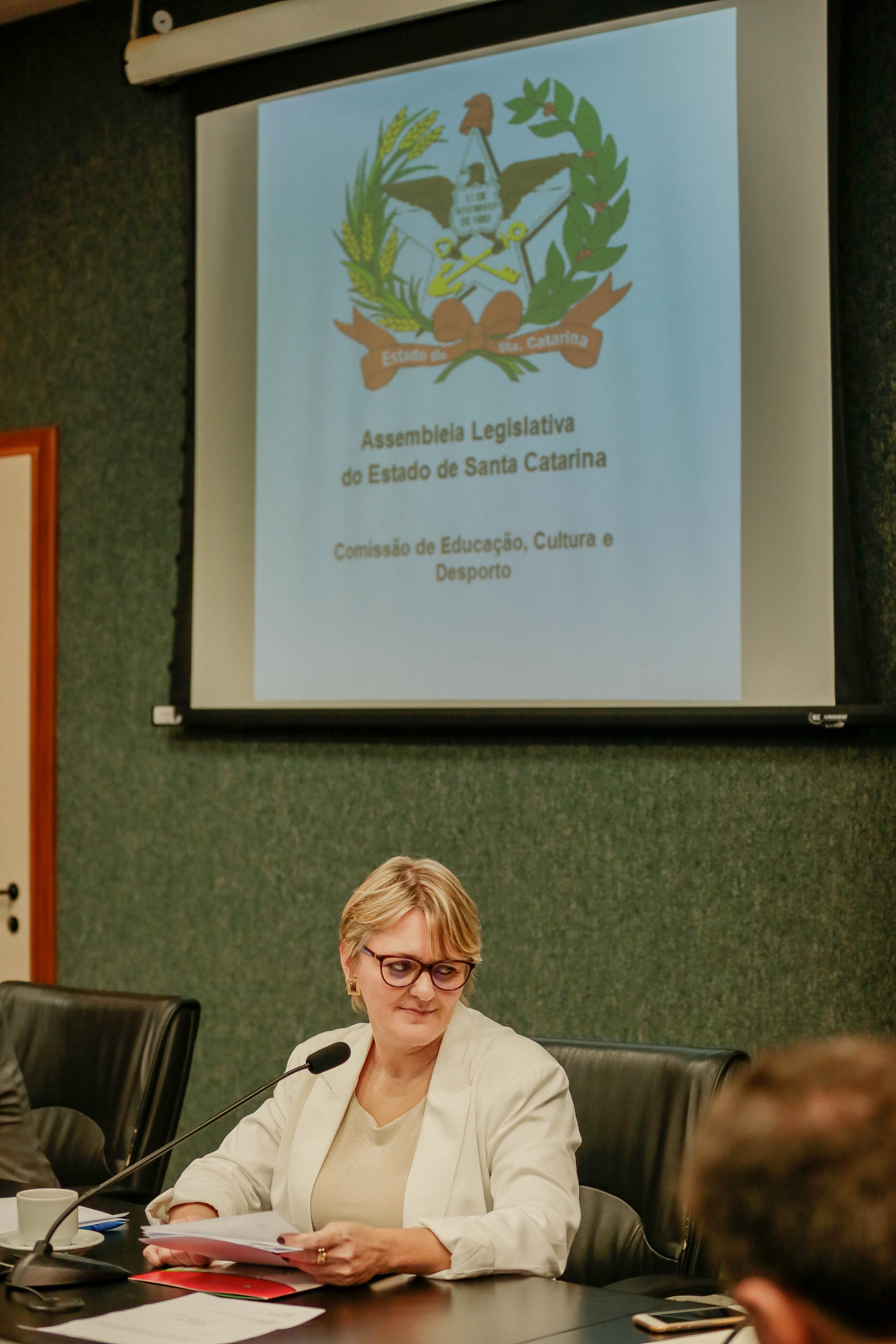 Deputada Luciane Carminatti (PT)
