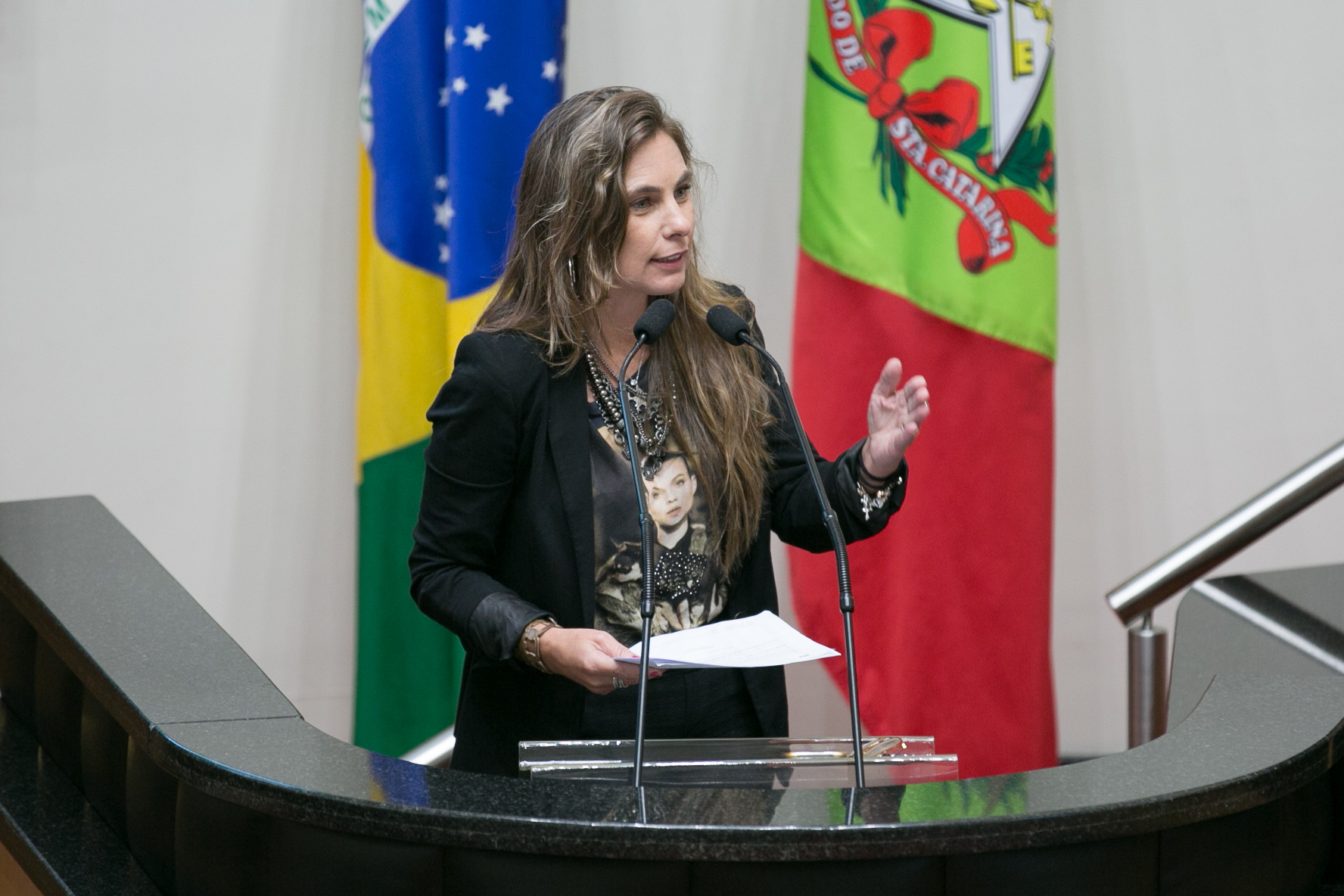 Deputada Paulinha (PDT)
