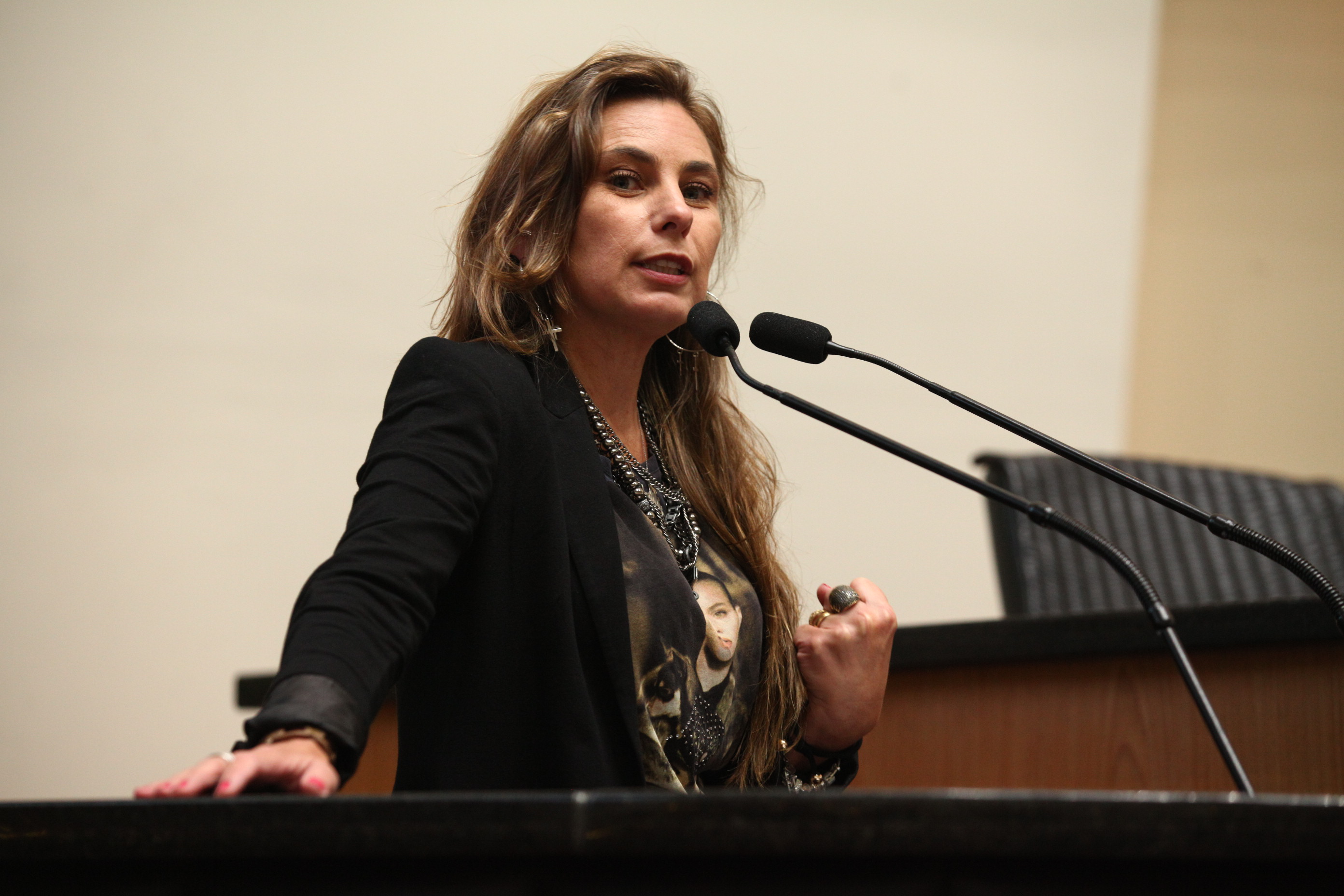 Sessão Ordinária em 29/03/2019 - Deputada Ana Paula da Silva (PDT)