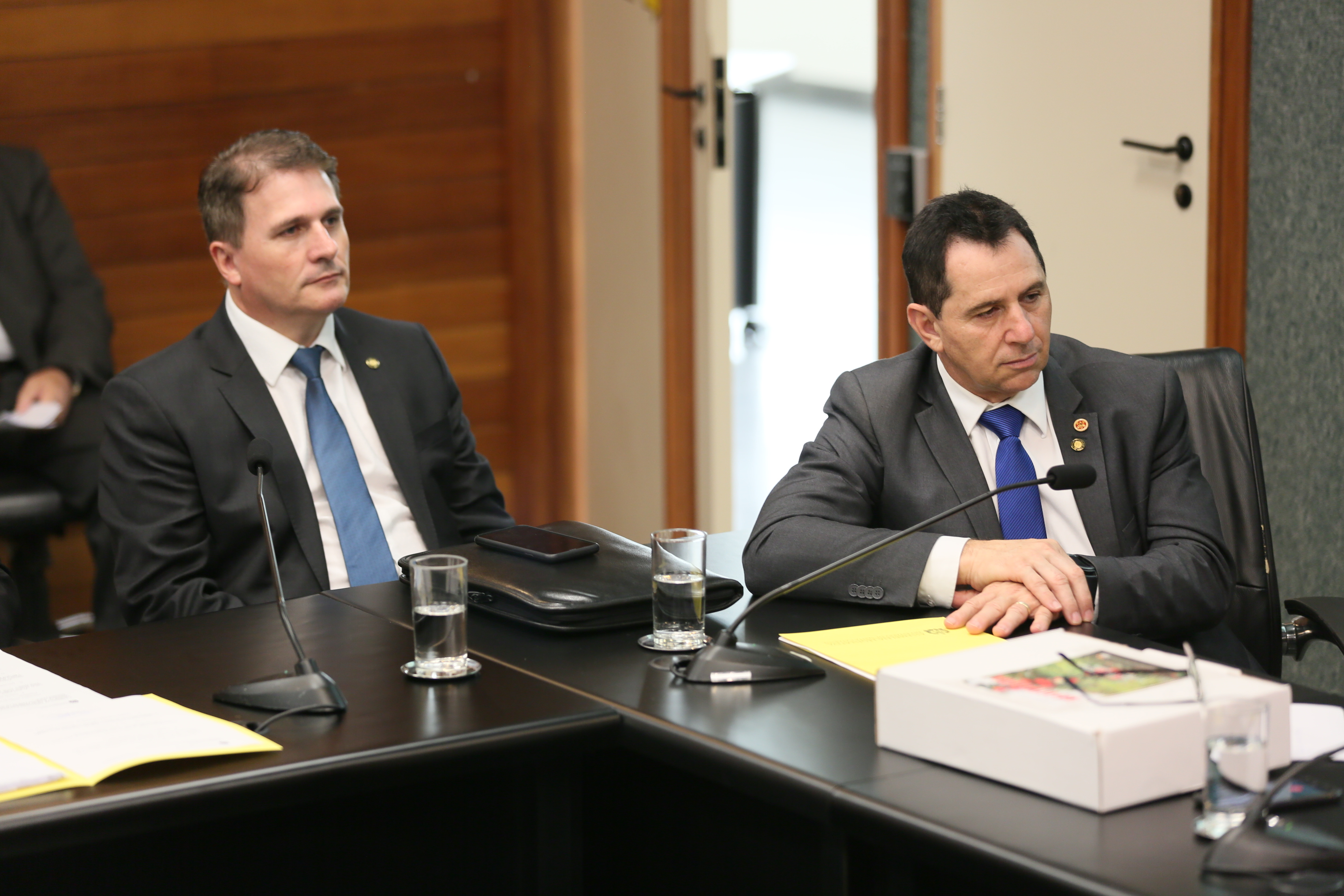 Comissão recebe o secretário de estado da Agricultura e da Pesca Ricardo de Gouvêa e a Presidente da Epagri Edilene Steinwandter para Informações das respectivas pastas.