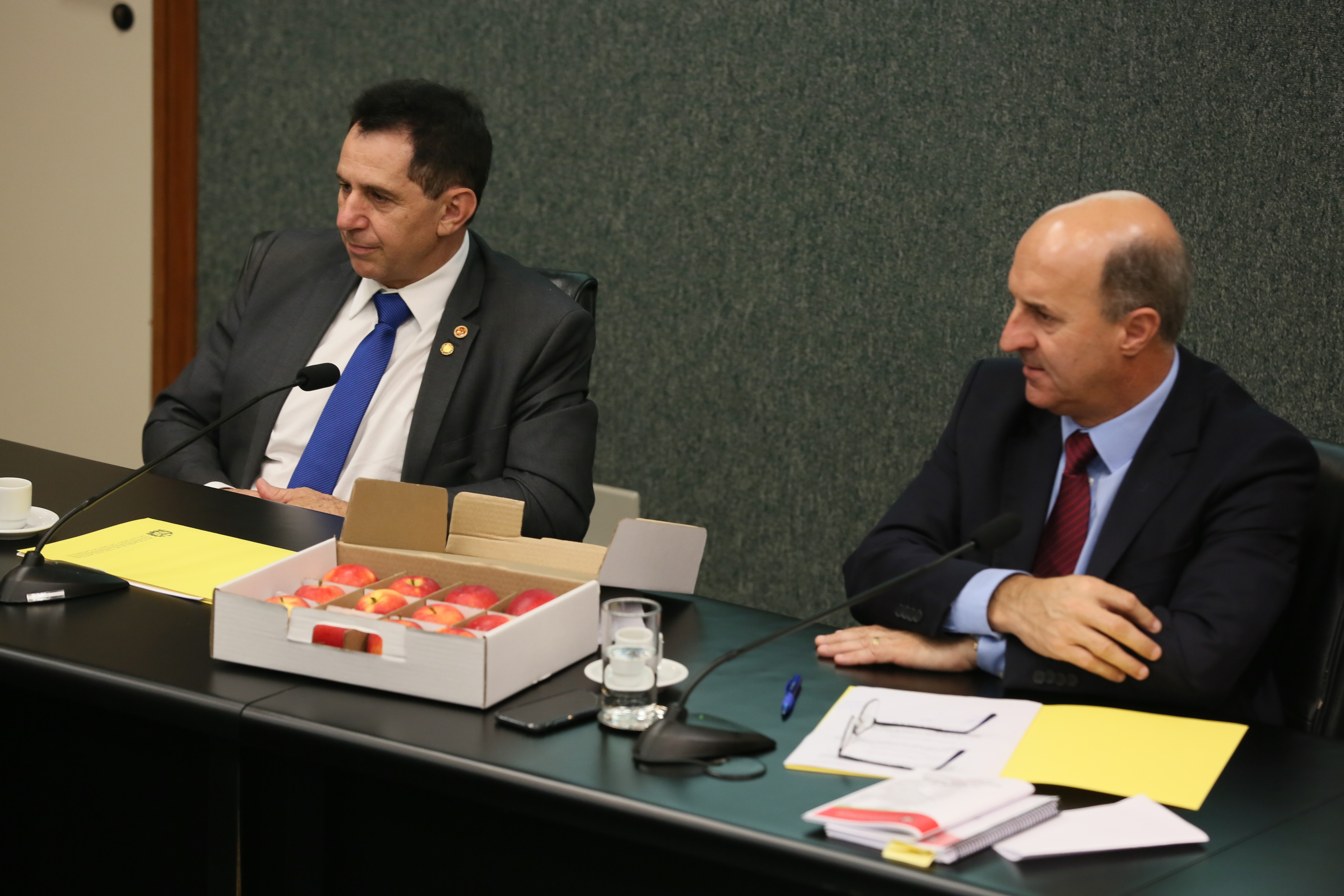 Comissão recebe o secretário de estado da Agricultura e da Pesca Ricardo de Gouvêa e a Presidente da Epagri Edilene Steinwandter para Informações das respectivas pastas.