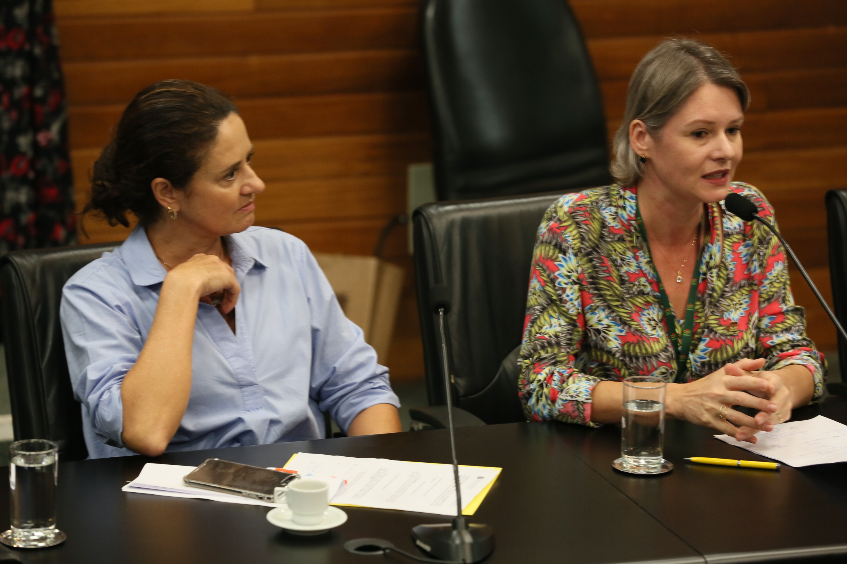 Comissão recebe o secretário de estado da Agricultura e da Pesca Ricardo de Gouvêa e a Presidente da Epagri Edilene Steinwandter para Informações das respectivas pastas.