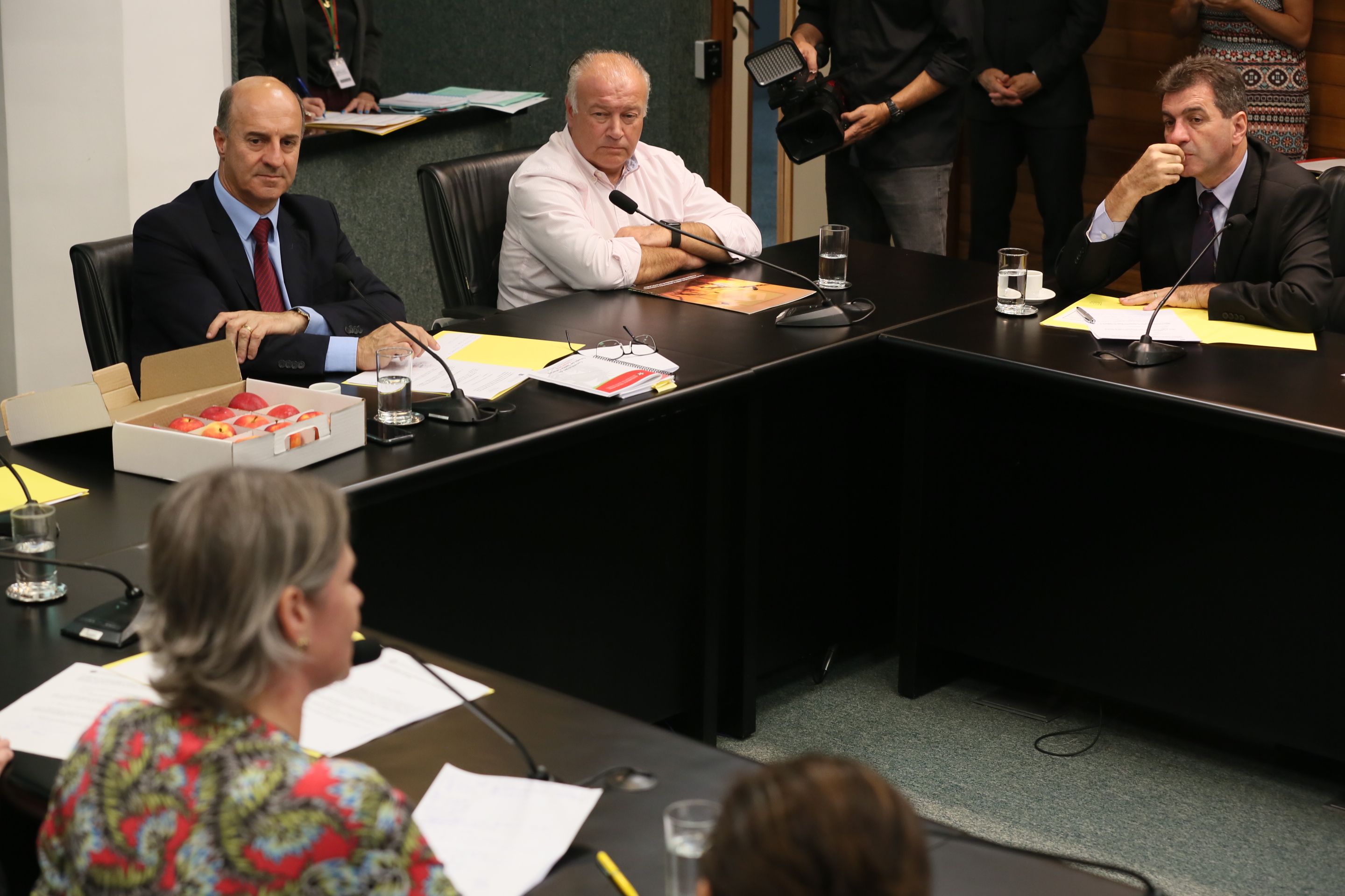 Comissão recebe o secretário de estado da Agricultura e da Pesca Ricardo de Gouvêa e a Presidente da Epagri Edilene Steinwandter para Informações das respectivas pastas.