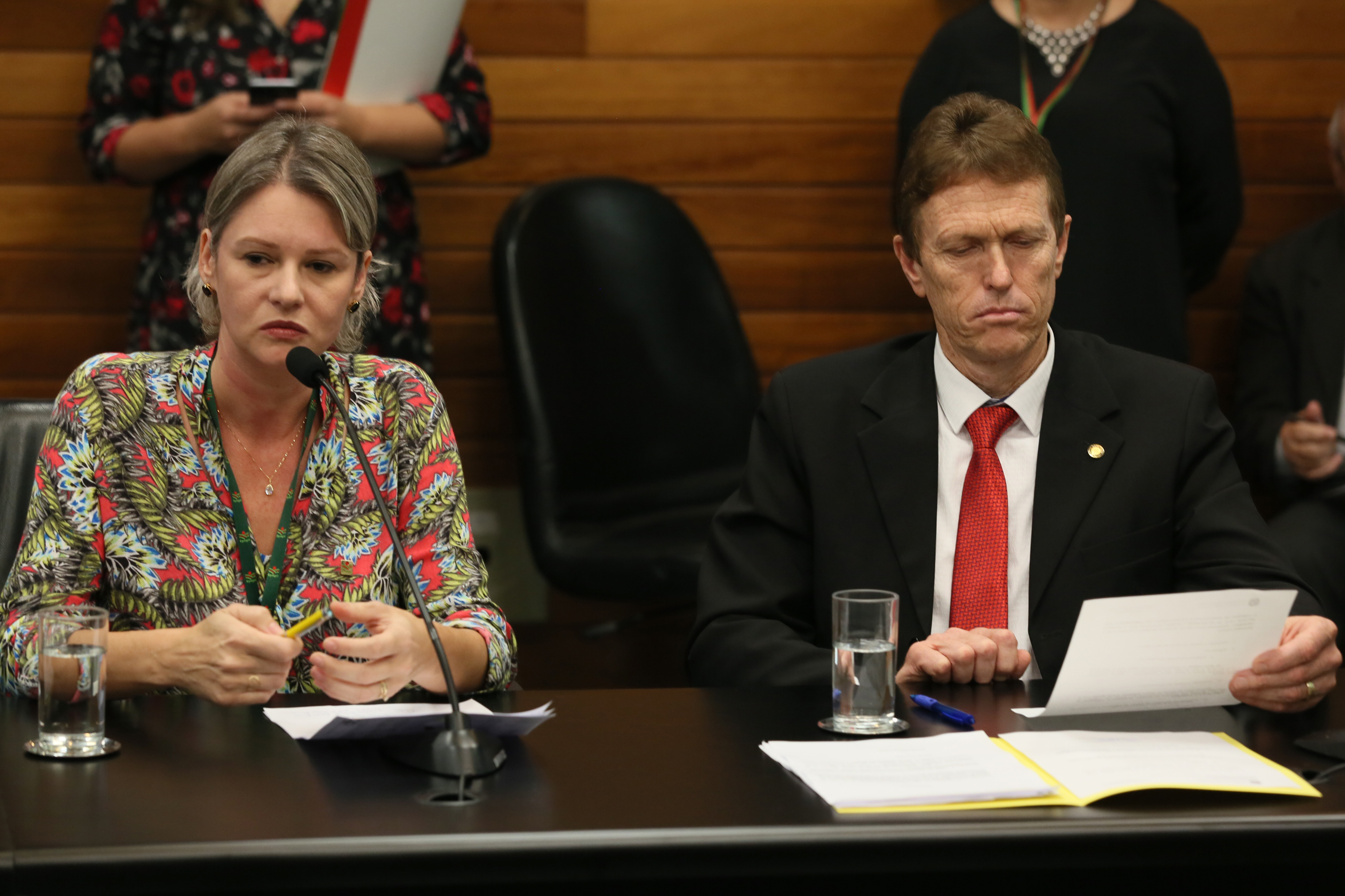 Comissão recebe o secretário de estado da Agricultura e da Pesca Ricardo de Gouvêa e a Presidente da Epagri Edilene Steinwandter para Informações das respectivas pastas.