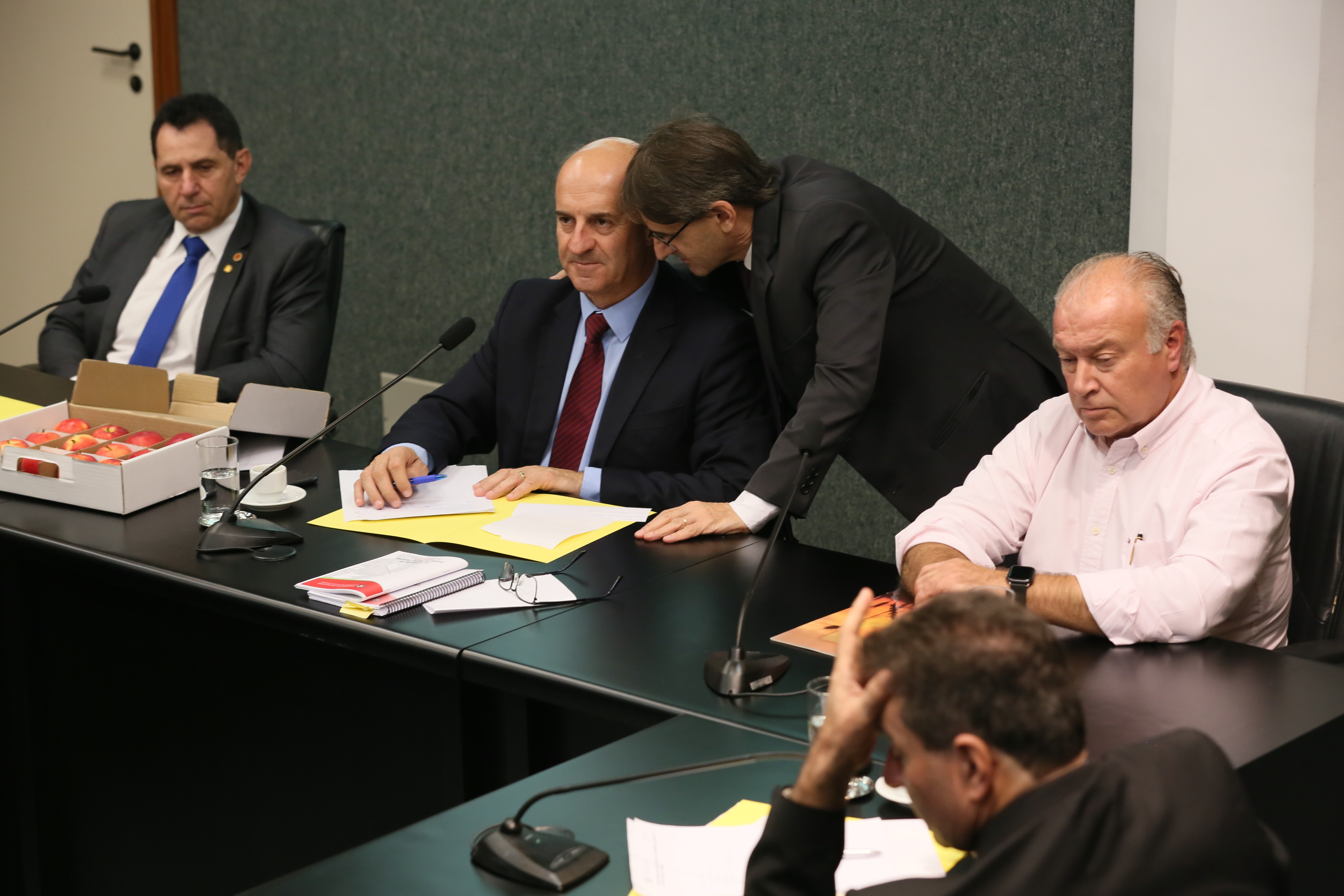 Comissão recebe o secretário de estado da Agricultura e da Pesca Ricardo de Gouvêa e a Presidente da Epagri Edilene Steinwandter para Informações das respectivas pastas.