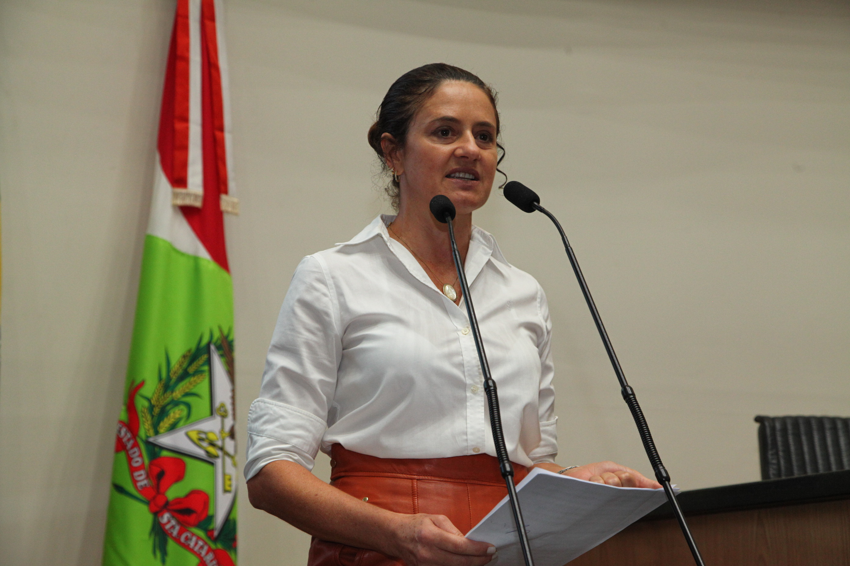 Sessão Ordinária - Deputada Marlene Fengler (PSD)
