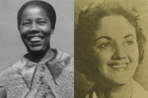 Uma história escrita por 15 mulheres