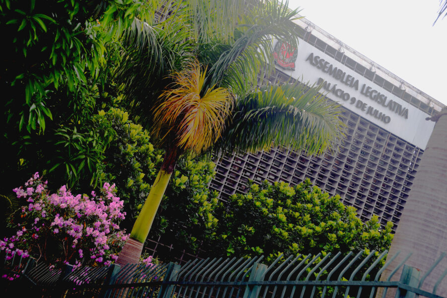 Em números absolutos, a Assembleia de São Paulo é a que tem o maior número de mulheres deputadas; proporcionalmente, Amapá lidera. FOTO: Marco Antonio Cardelino/Alesp