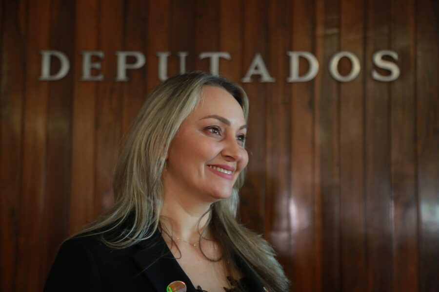 A vice-governadora Daniela Reinehr, a primeira mulher a ocupar o segundo cargo mais importante no Poder Executivo de Santa Catarina. FOTO: Julio Cavalheiro/Secom