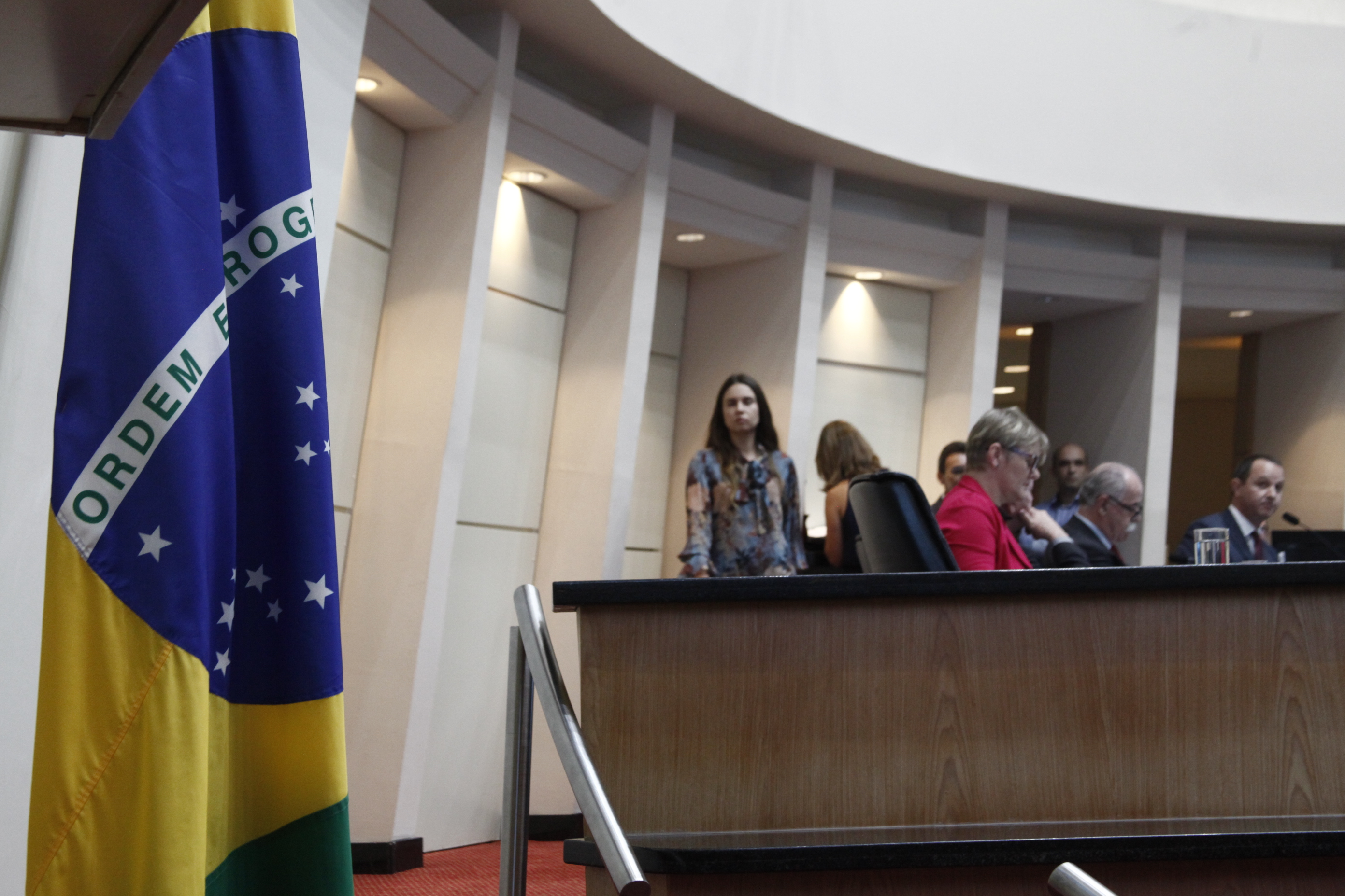 Reunião Conjunta CCJ _finanças e Trabalho