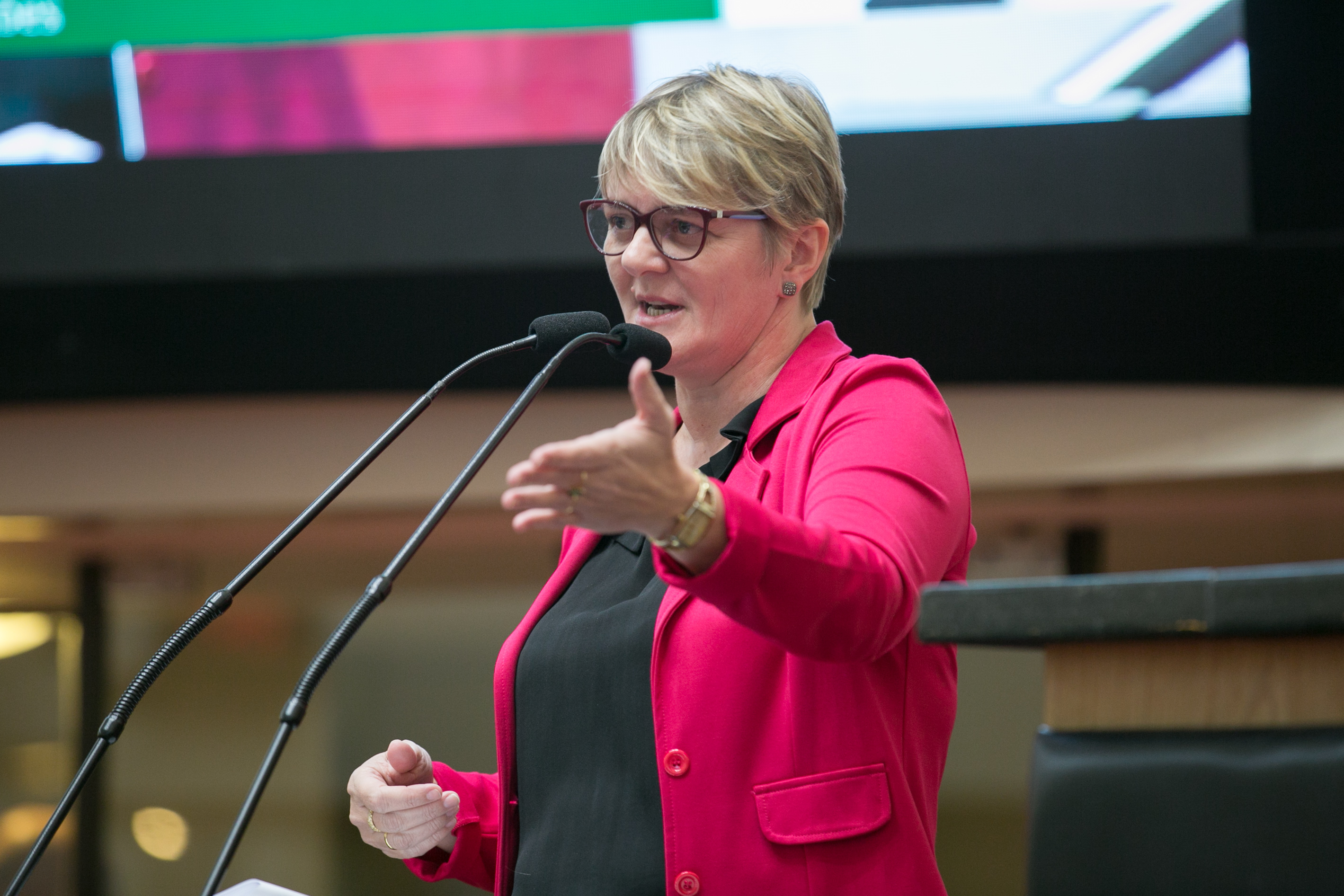 Deputada Luciane Carminatti (PT)