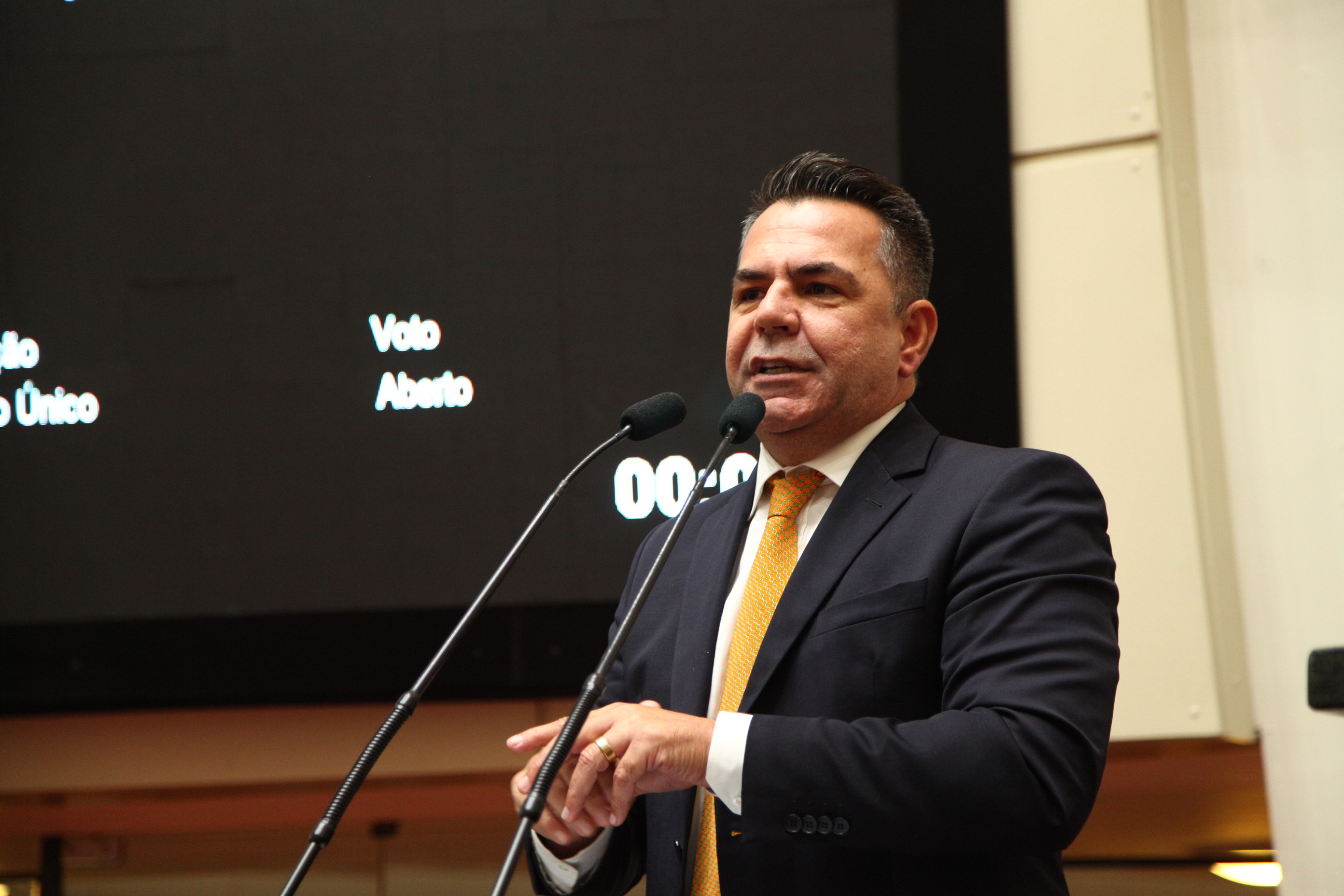 Sessão Ordinária - Deputado Luiz Fernando Vampiro  (PMDB)