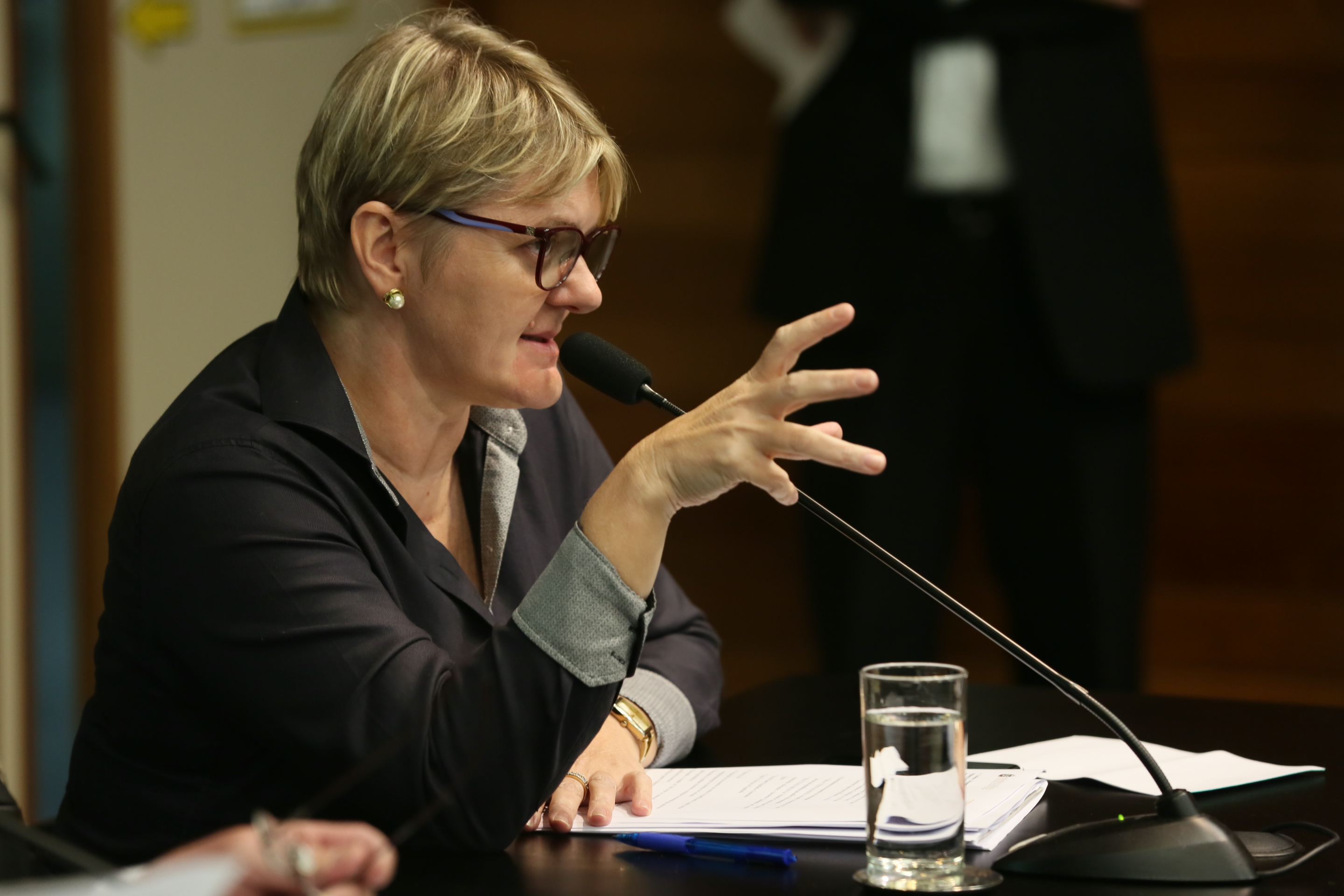 Reunião da Comissão Parlamentar de Inquérito para apurar eventuais irregularidades nos contratos de restauração da Ponte Hercílio Luz.