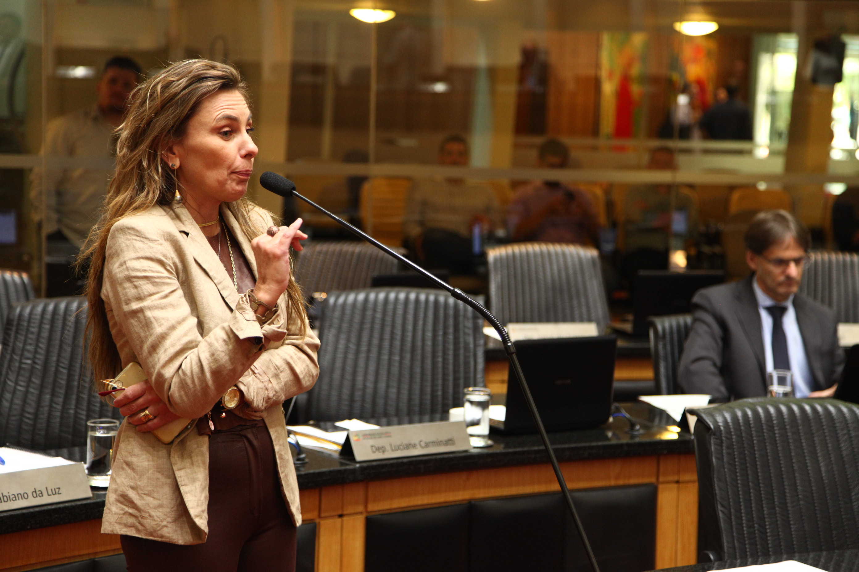 Sessão Ordinária - Deputada Ana Paula da Silva (PDT
