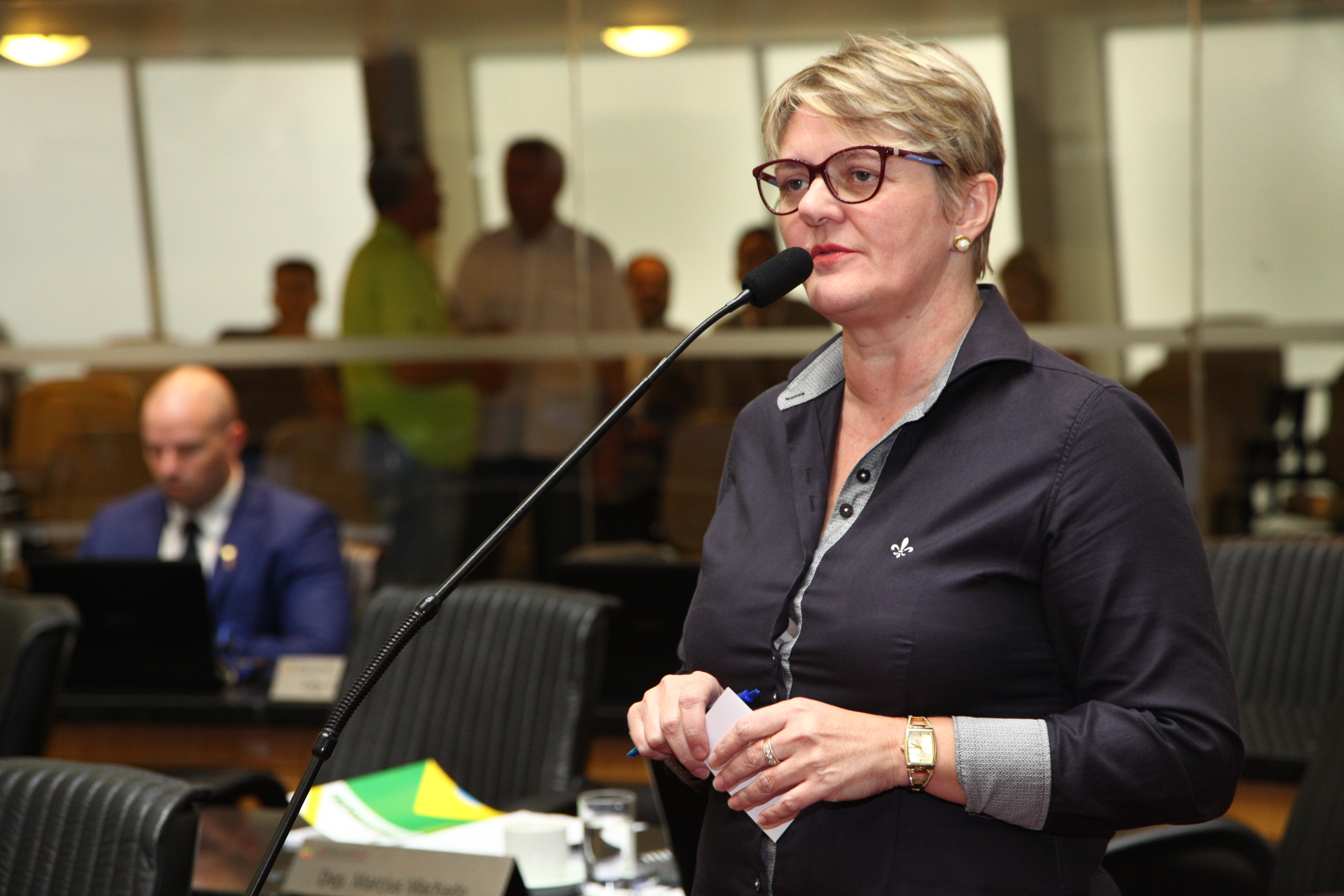 Sessão Ordinária - Deputada Luciane Carminatti (PT)