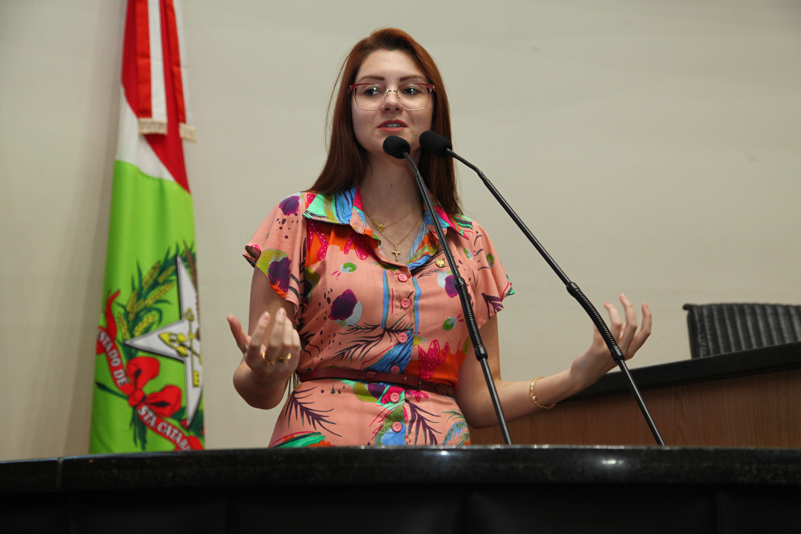 Sessão Ordinária - Deputada Ana Caroline
 Campagnolo (PSL)