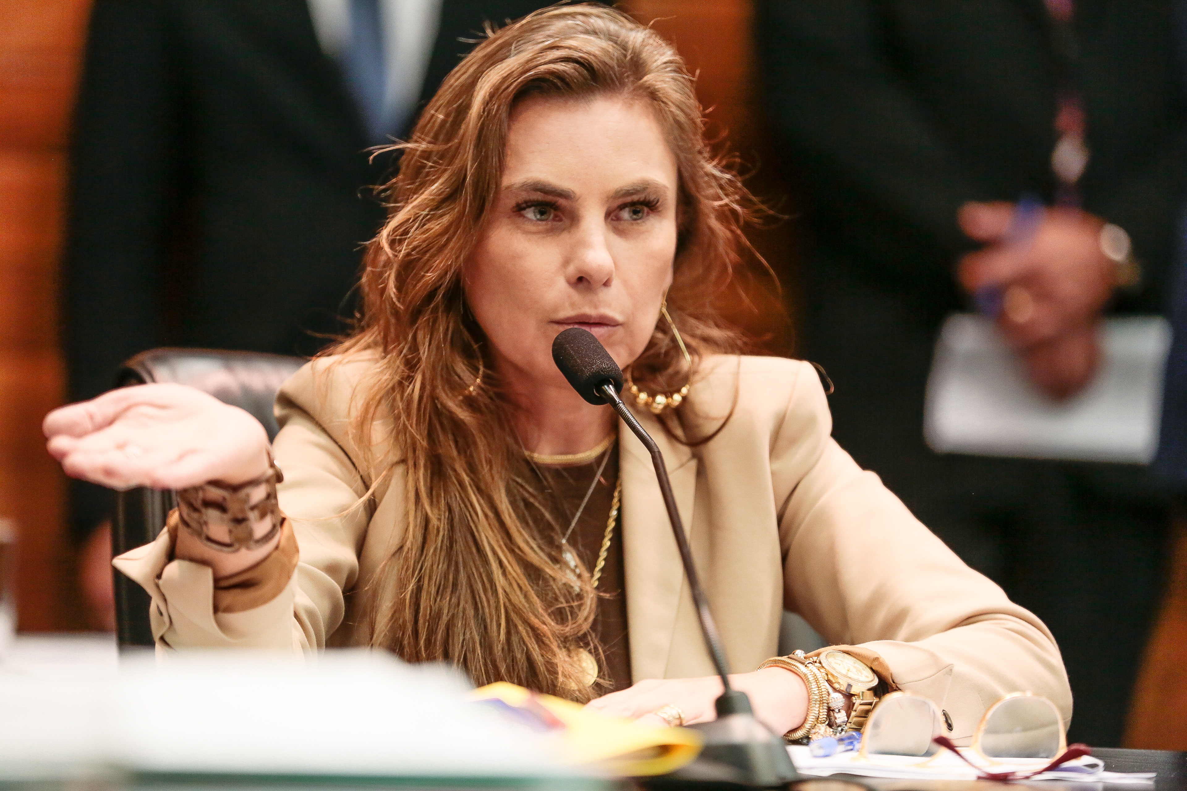 Deputada Paulinha (PDT)
