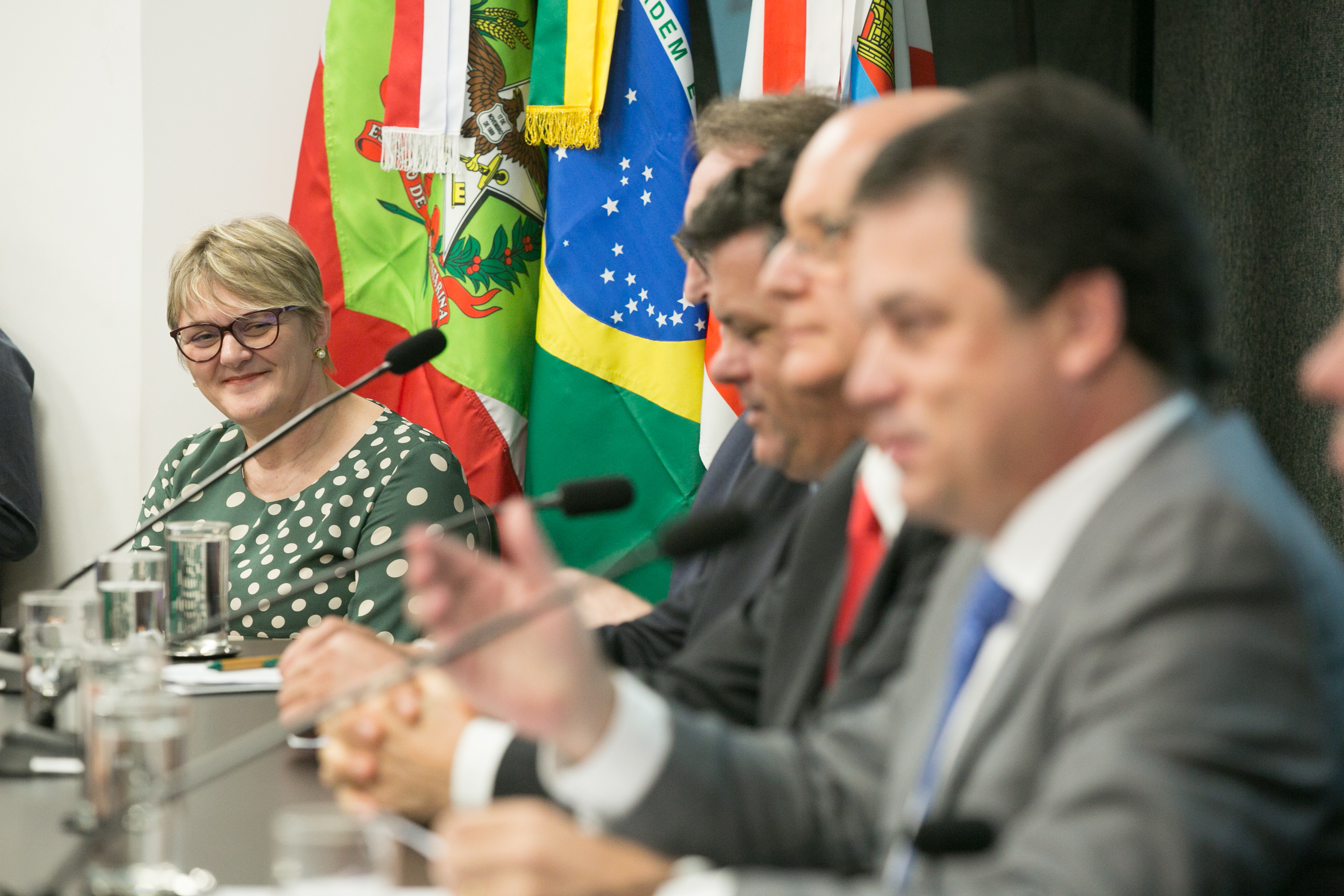 Frente Parlamentar em Defesa das Instituições de Educação Superior Legalmente Habilitadas a Funcionar em SC