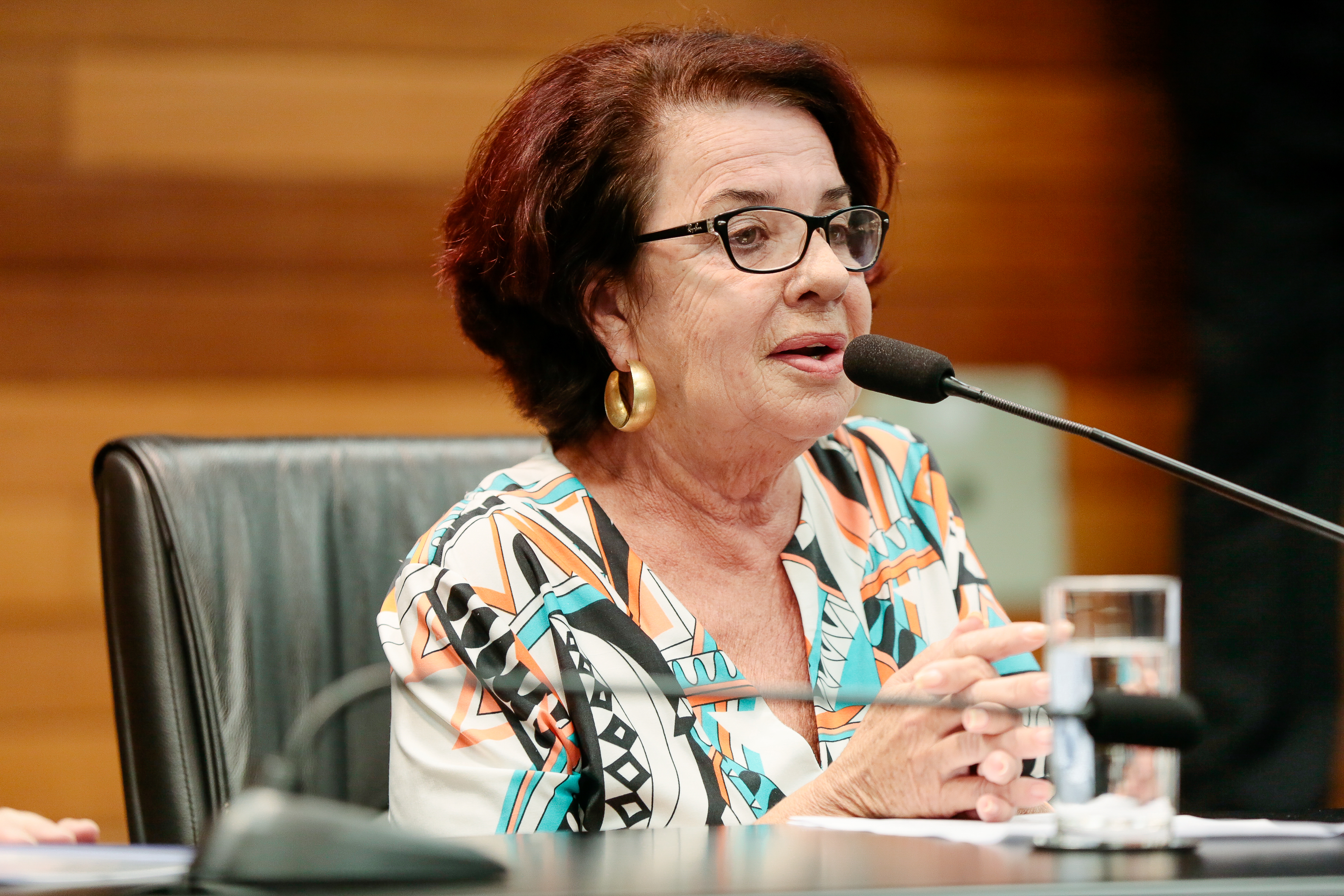 Silvia Regina Cabral, Presidente da Associação Brasileira de Bacharéis e Profissionais de Turismo de SC