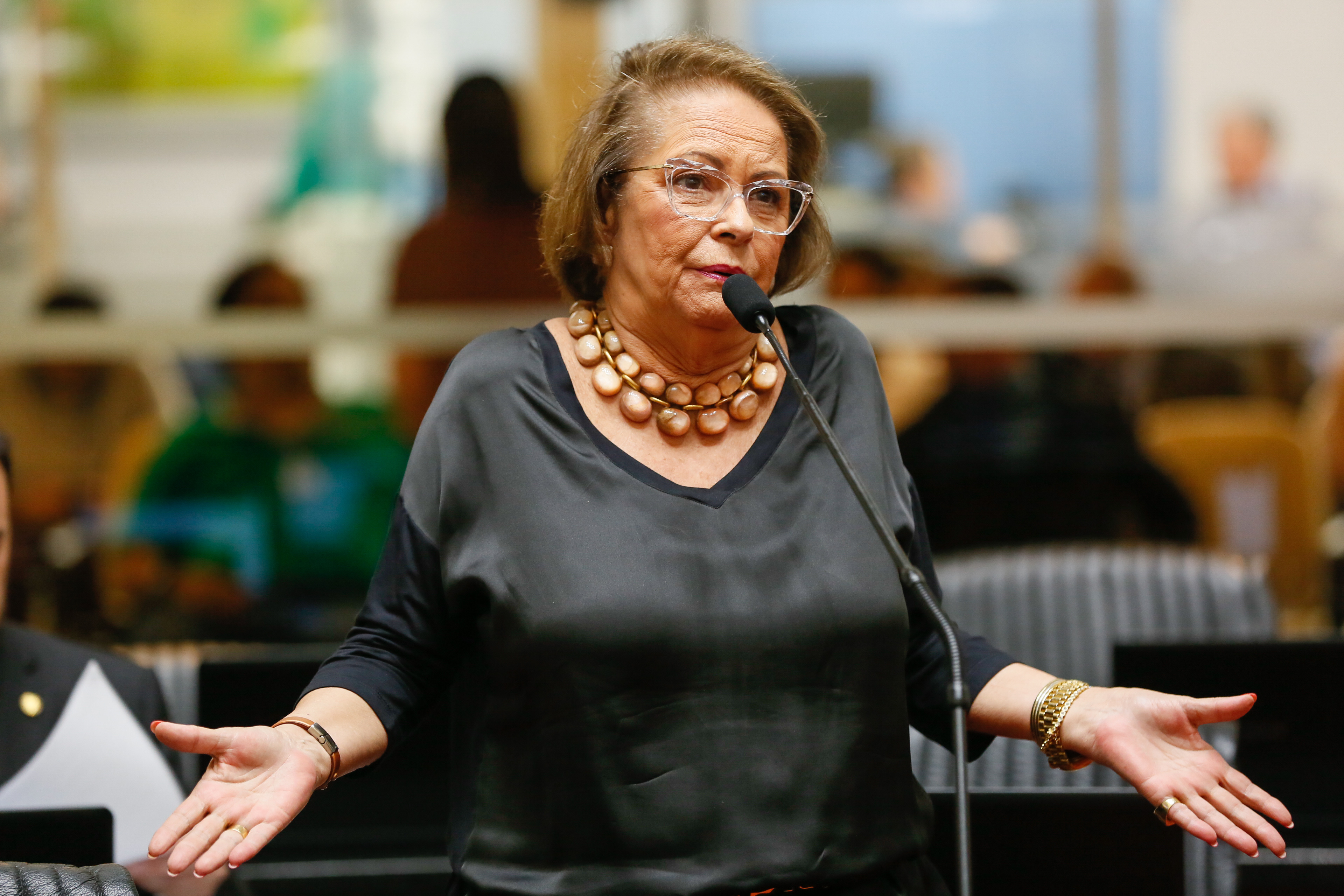 Deputada Ada De Luca (MDB)