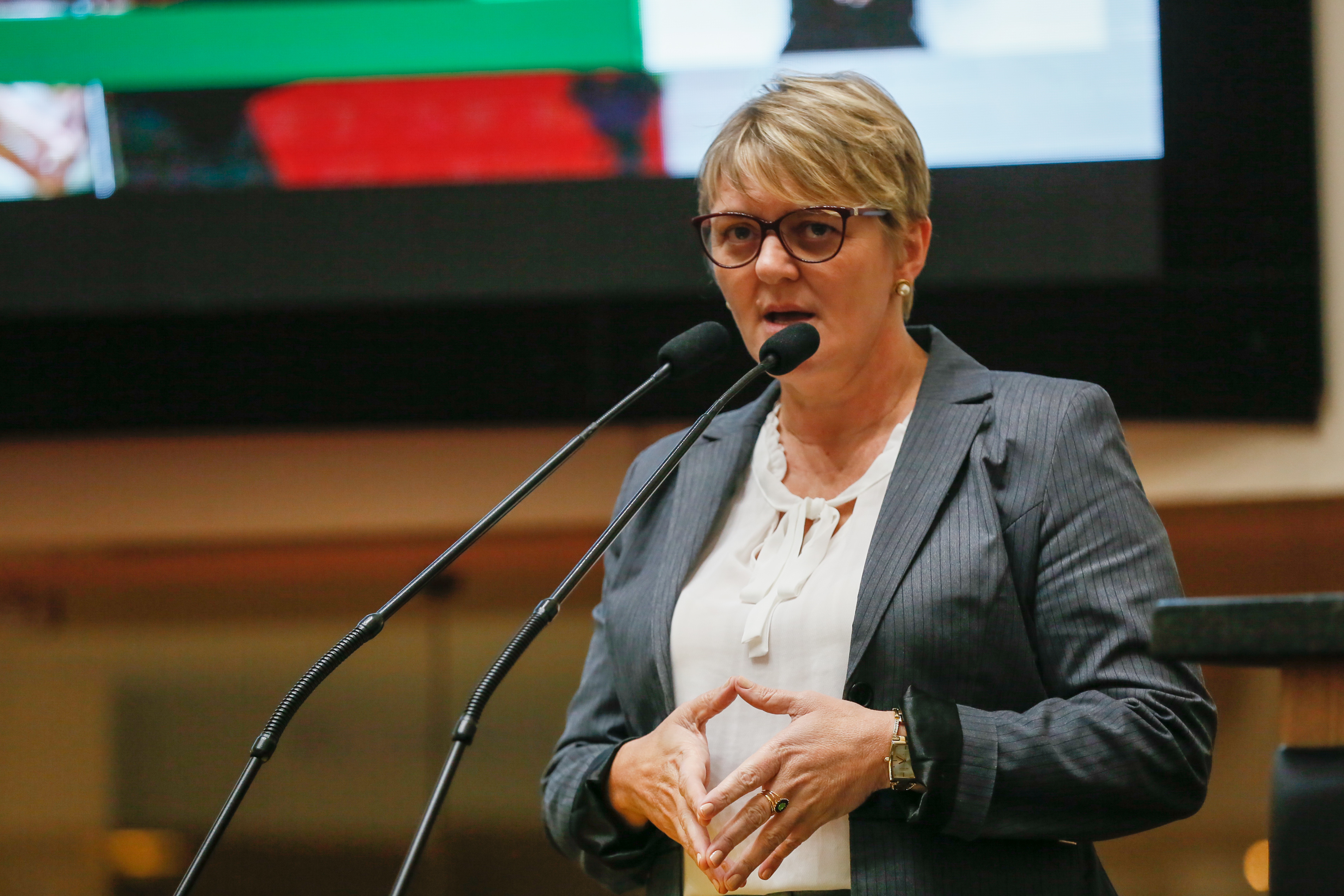 Deputada Luciane Carminatti (PT)