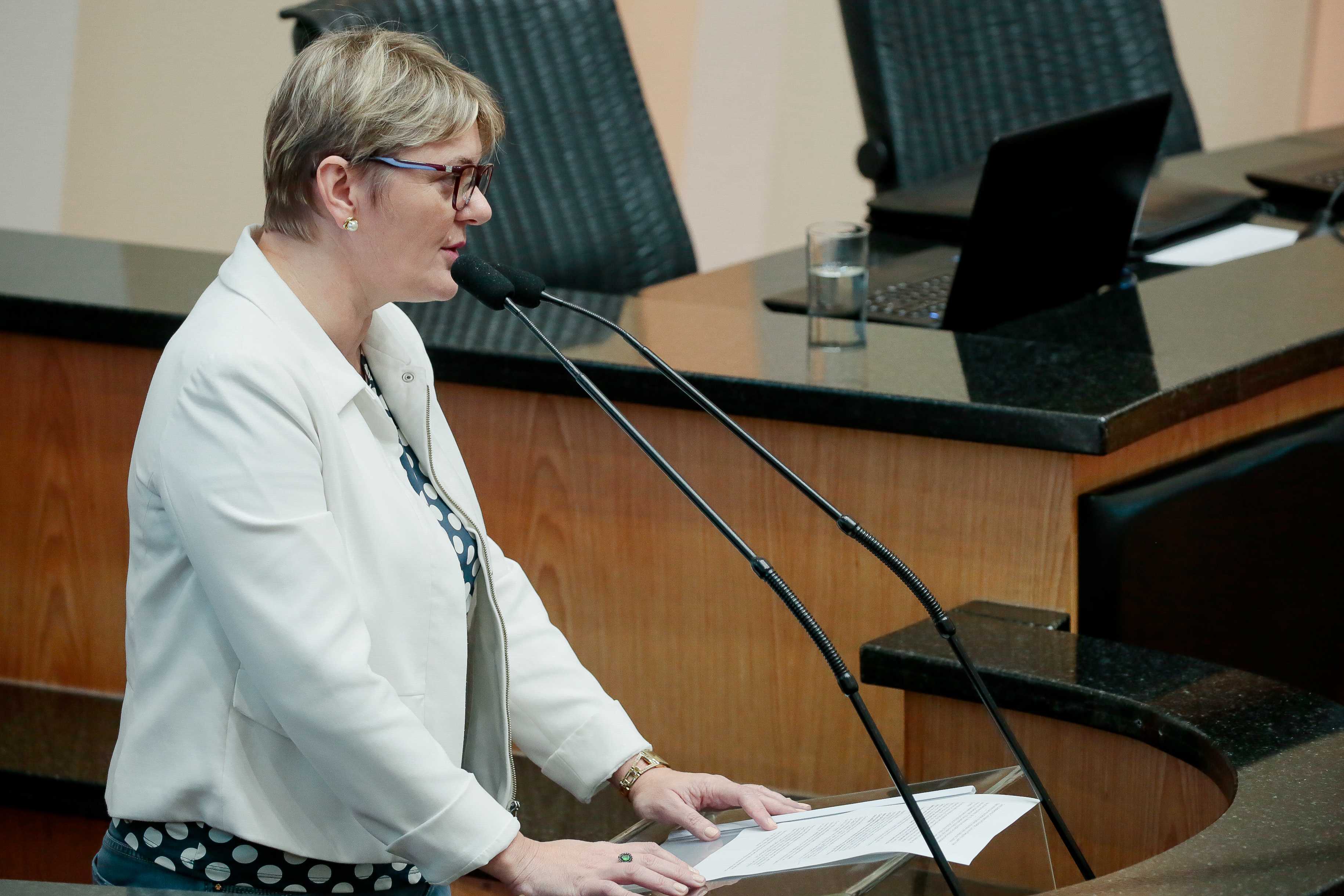 Deputada Luciane Carminatti (PT)