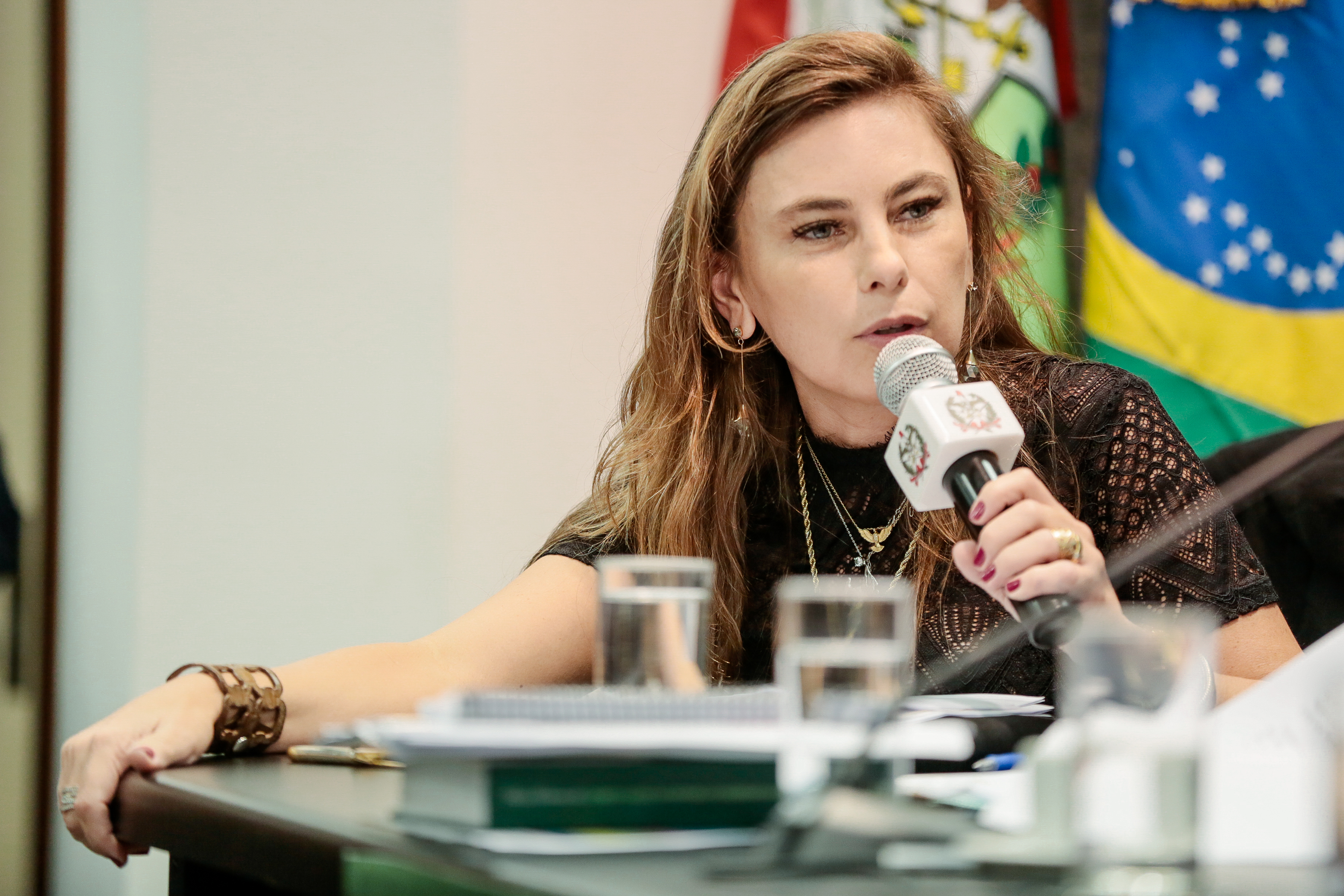 Deputada Paulinha (PDT)