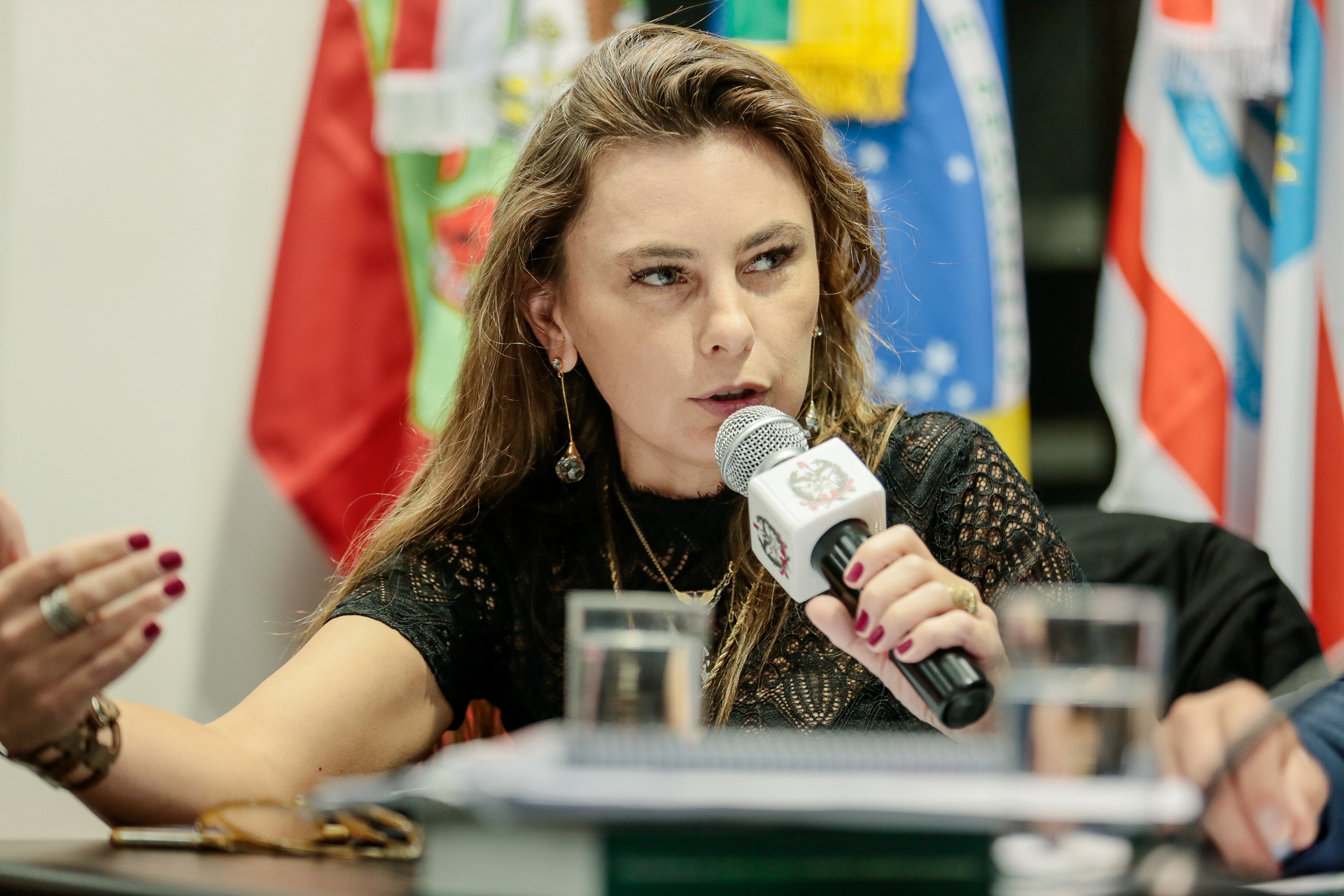 Deputada Paulinha (PDT)