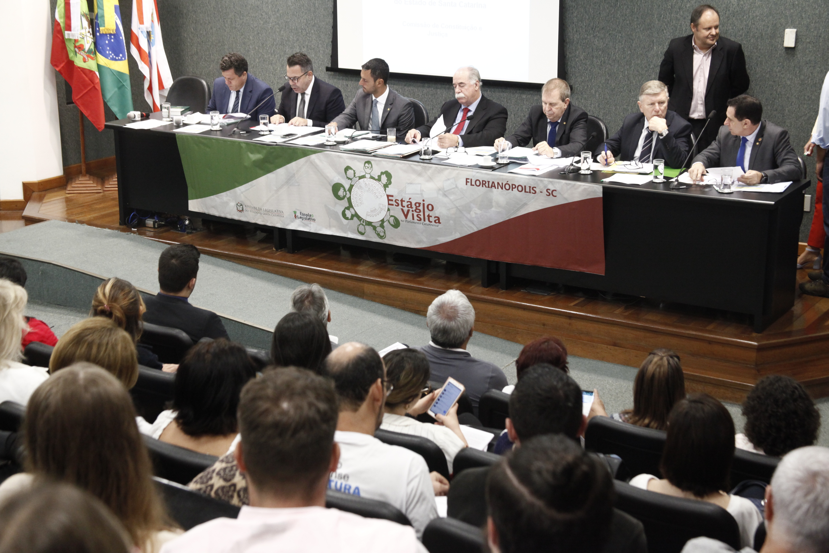 Comissão de Constituição e Justiça