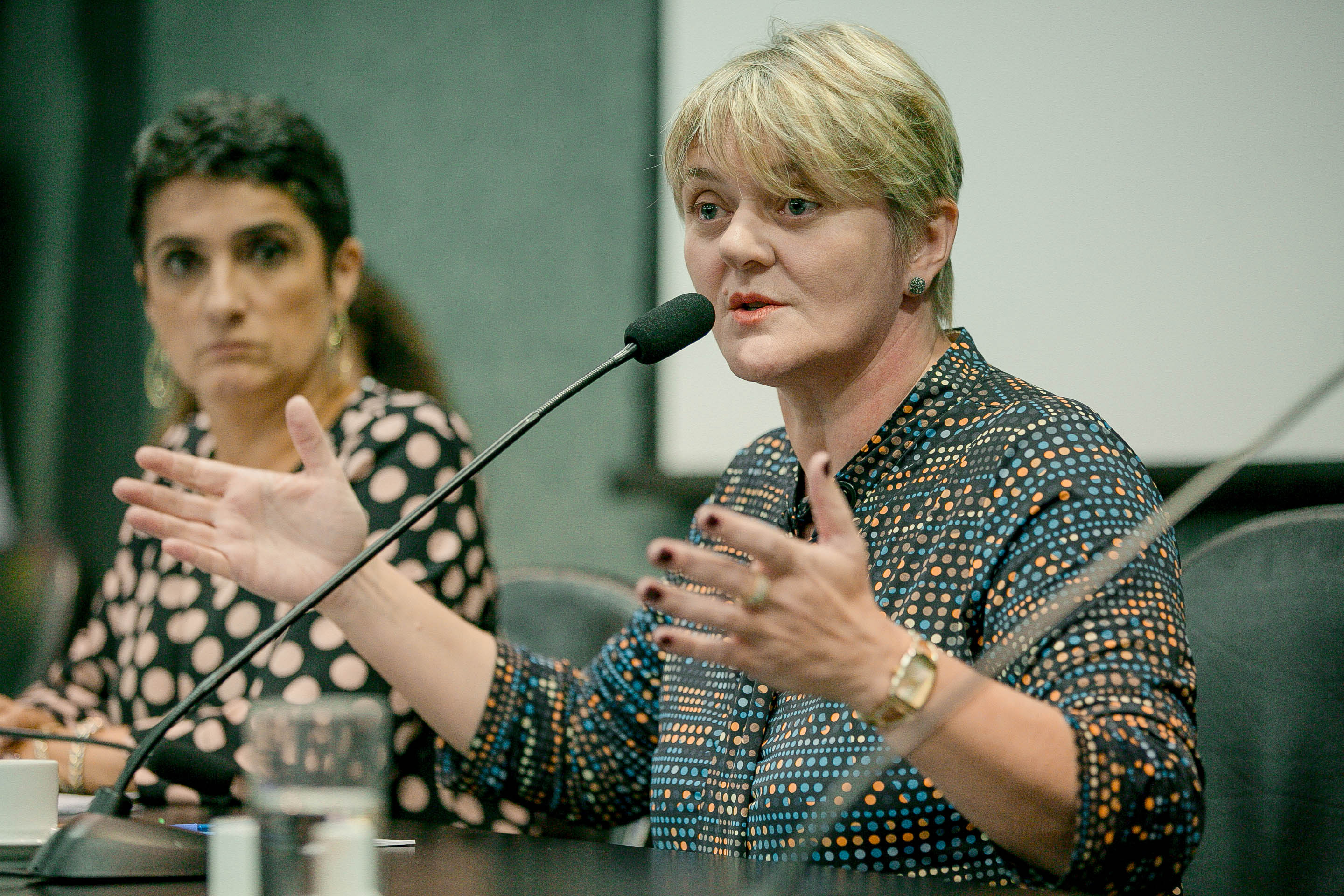 Deputada Luciane Carminatti (PT)