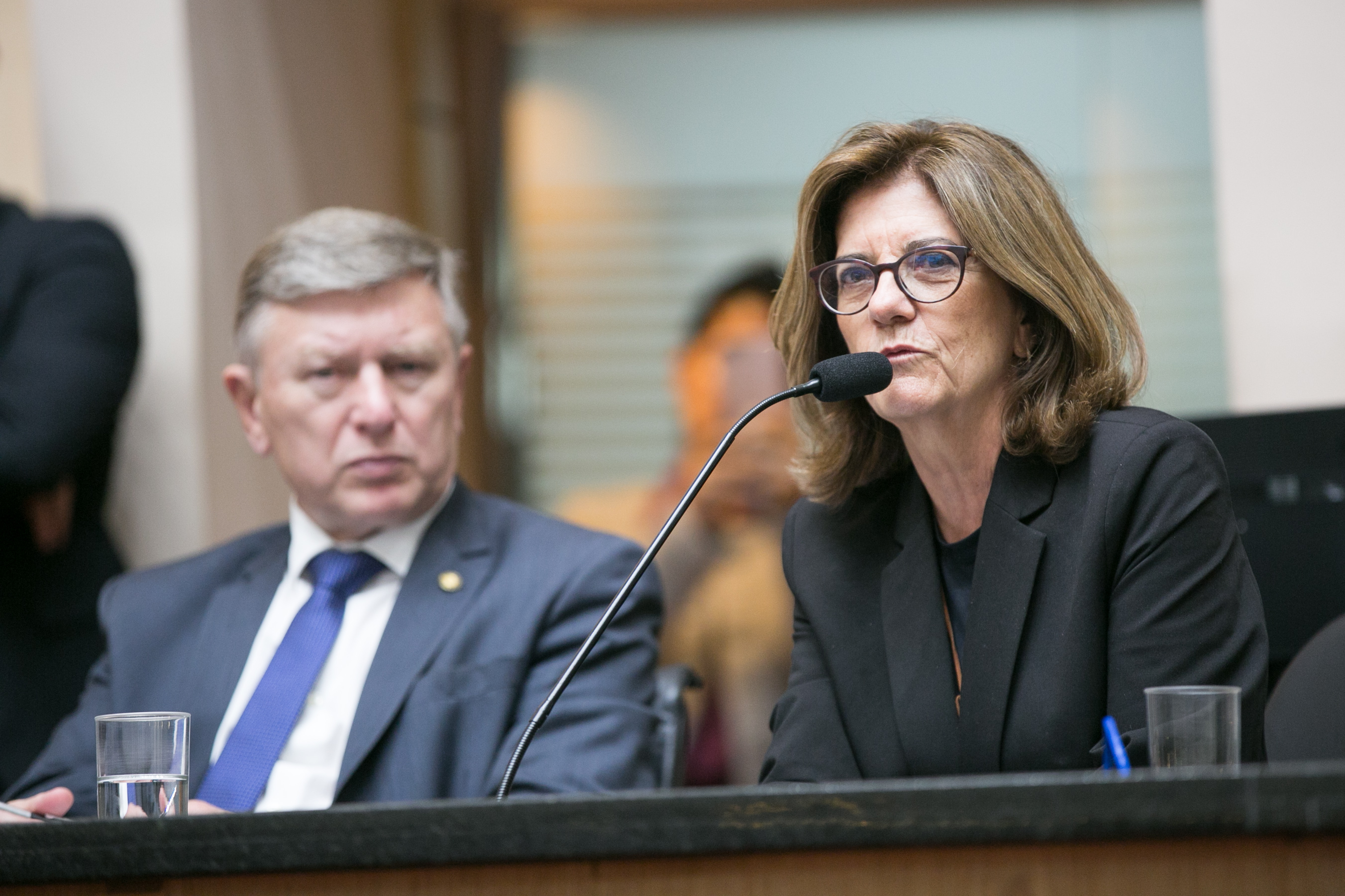 Presidente da FCC Ana Lúcia Coutinho
