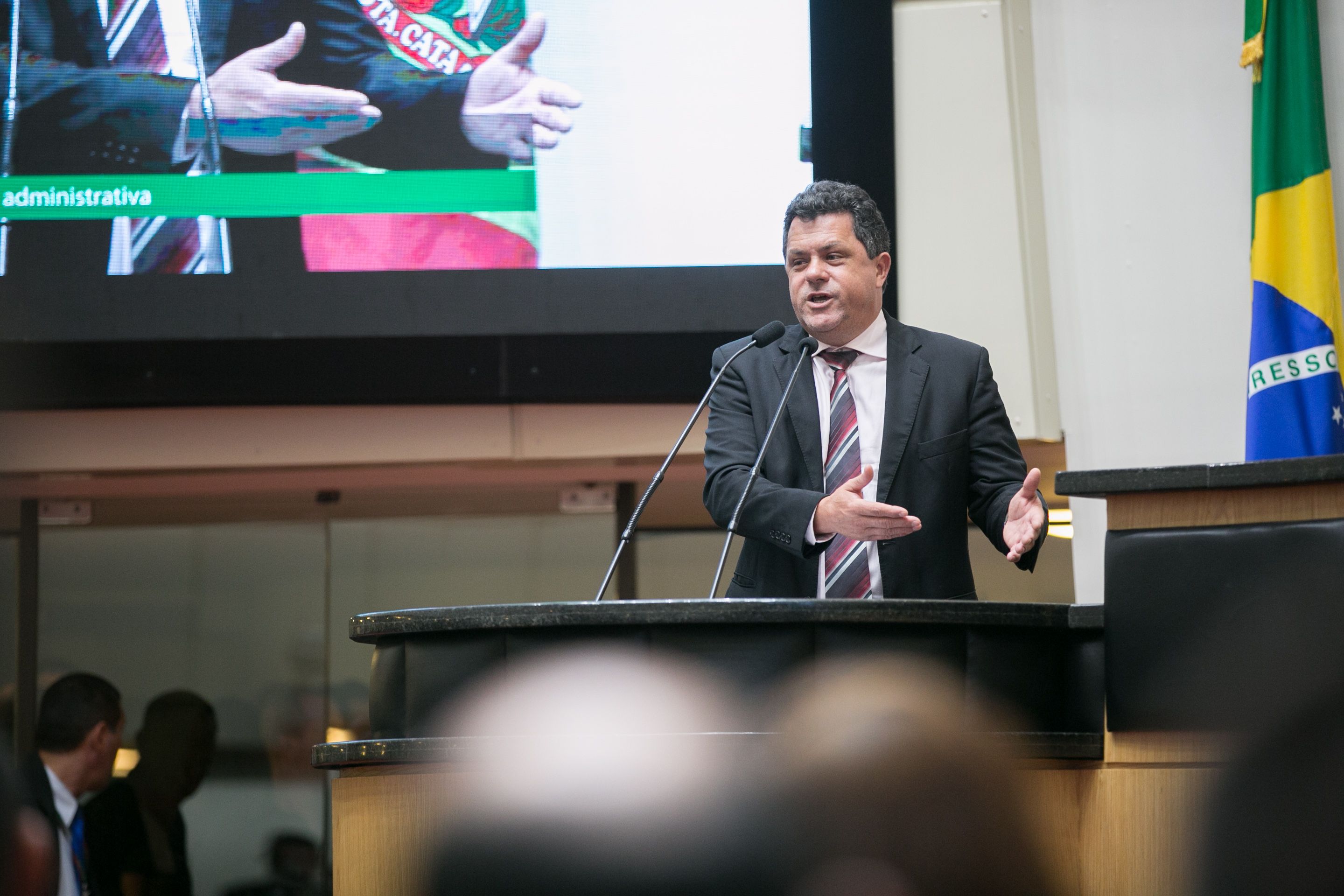 Deputado Ivan Naatz (PV)