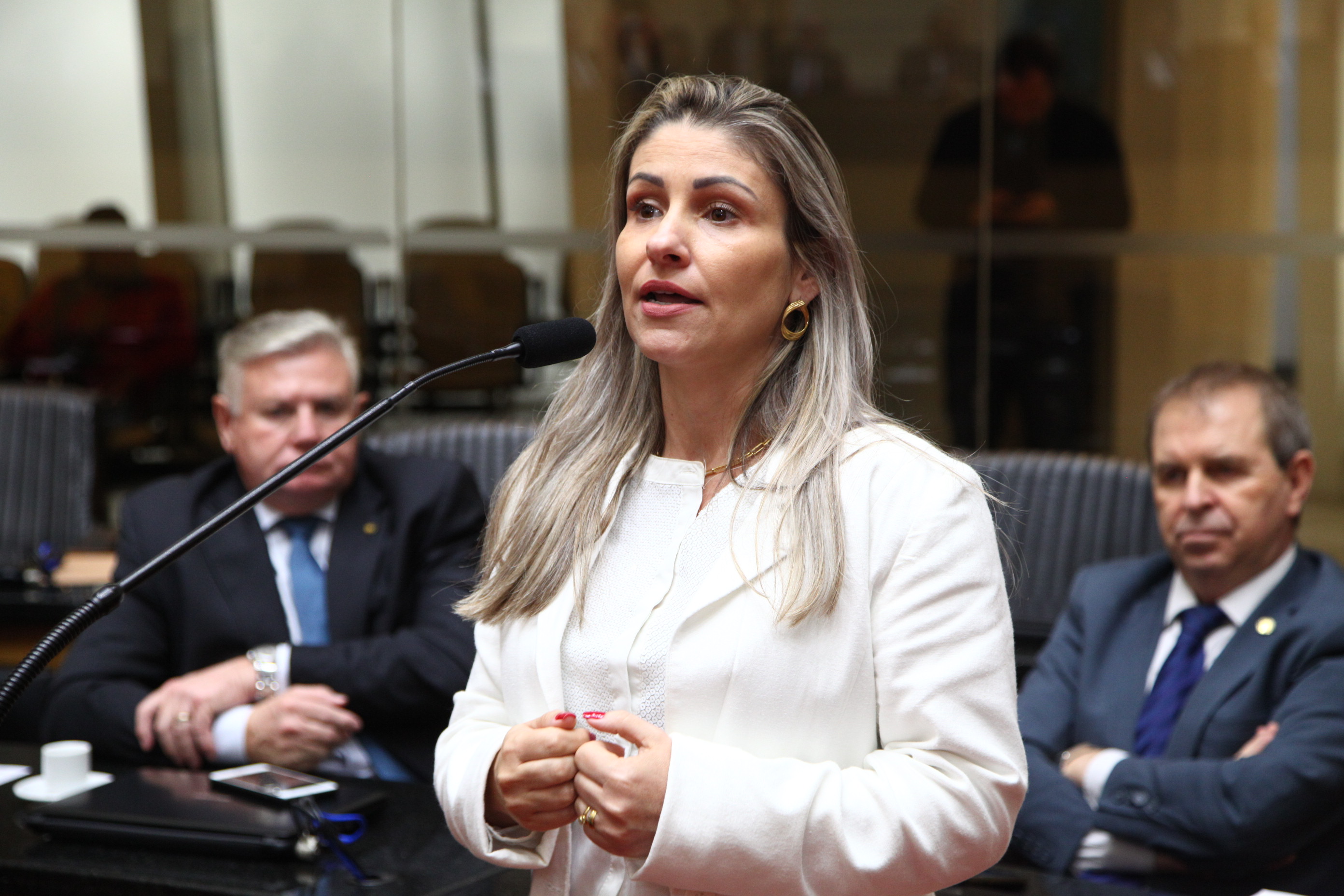 Audiência Pública sobre a  Reforma Administrativa