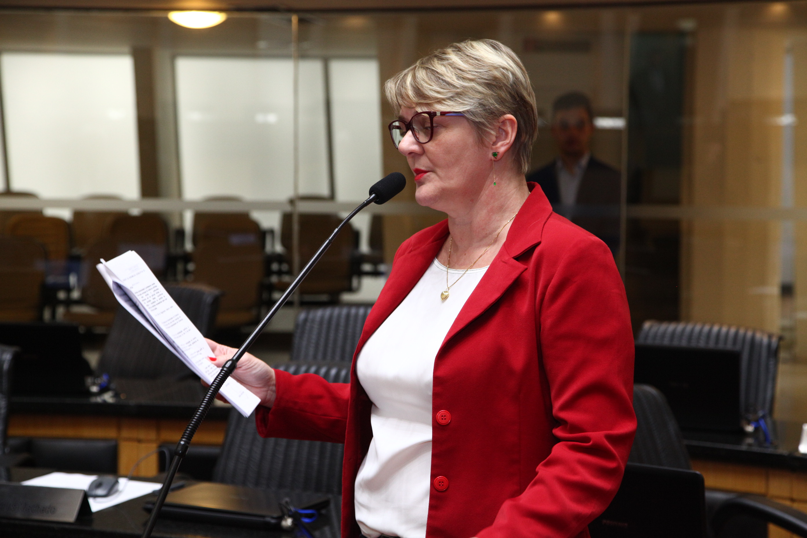 Sessão Plenária - Deputada Luciane Carminatti (PT)