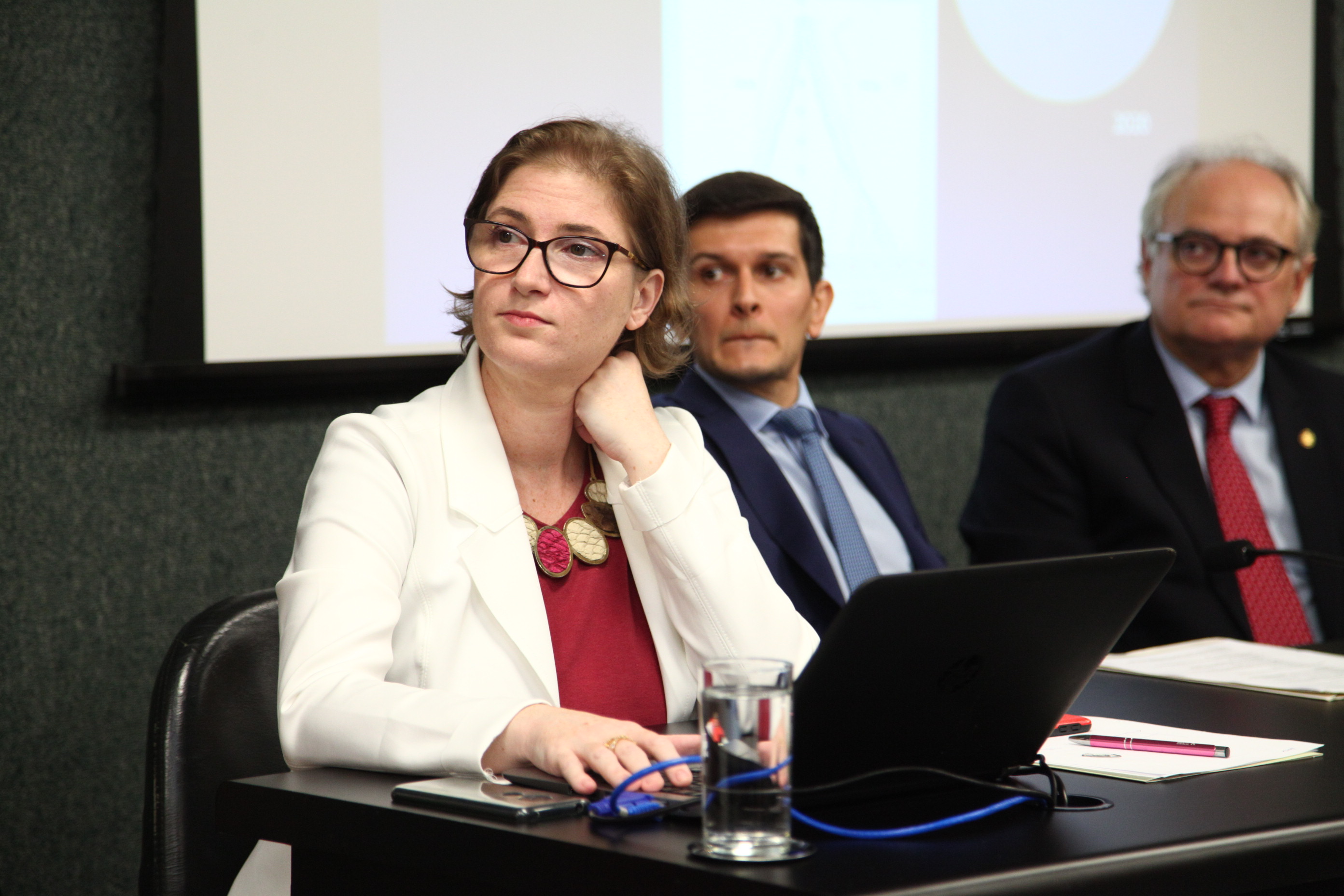Audiência Pública da Comissão de Defesa dos Direitos do Idoso - Dra. Juliana Brandão