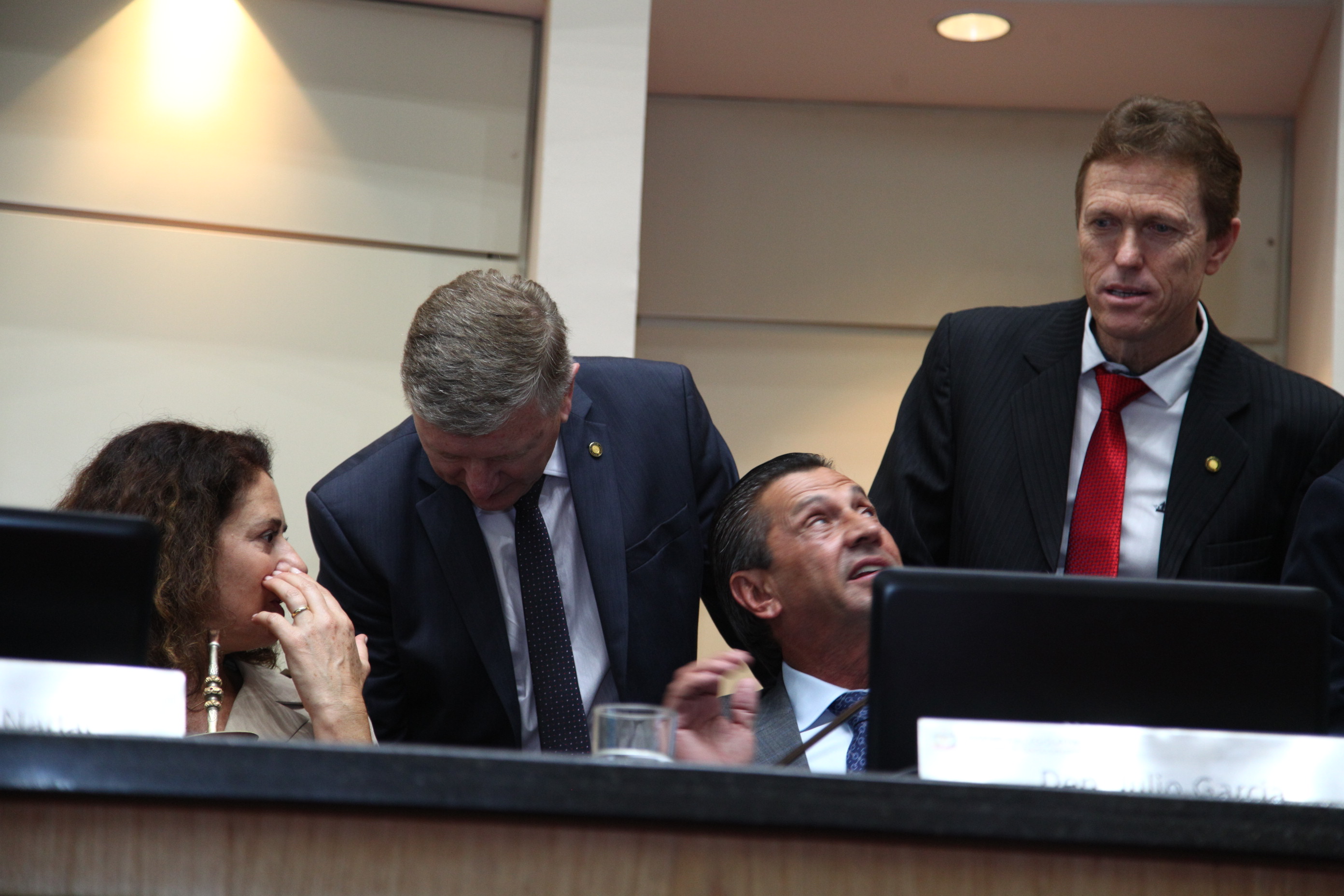 Sessão Plenária em 25/04/2019
