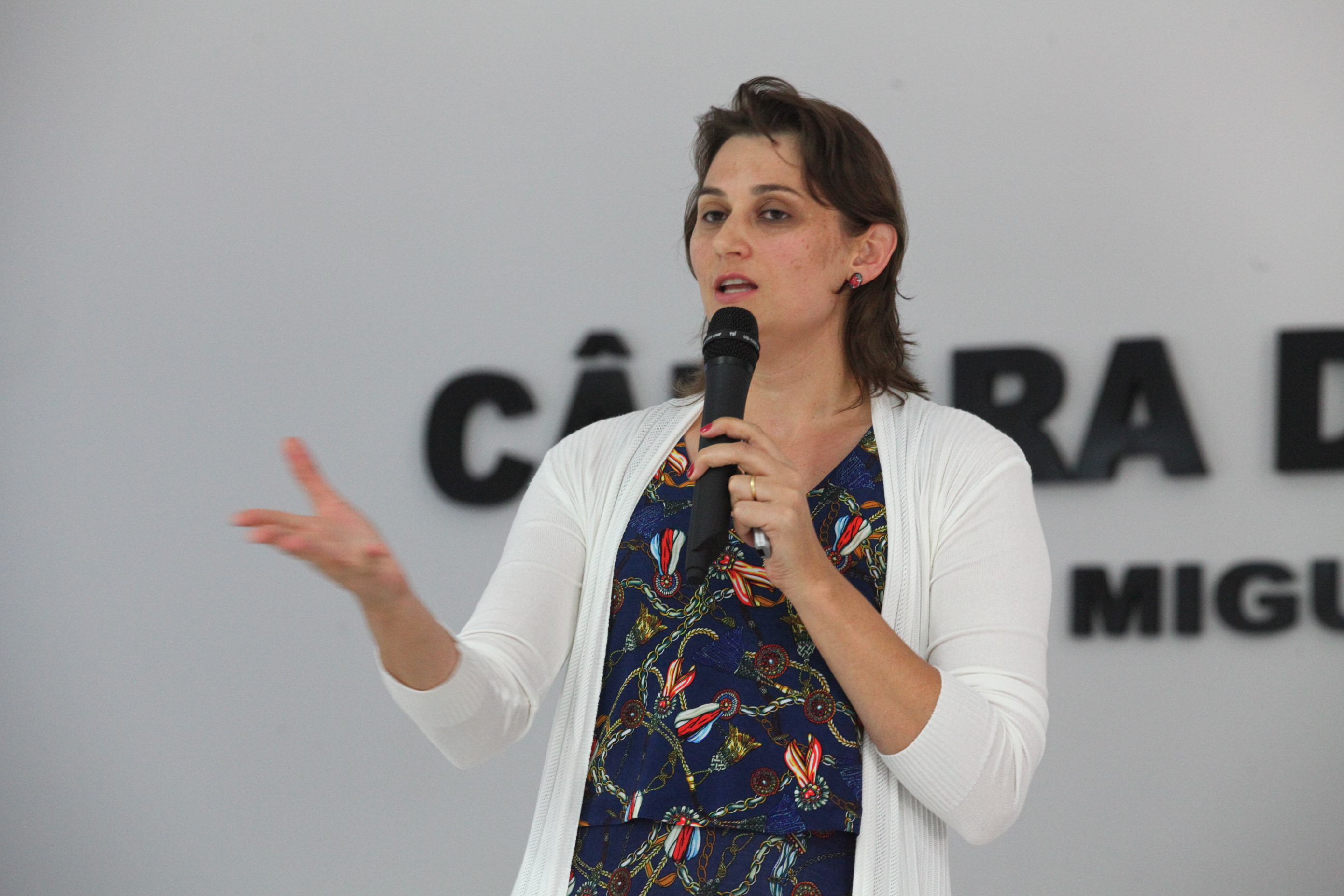 Seminário Estadual sobre Gestão Cultural em Chapecó  -  Fernanda Ben, palestrante