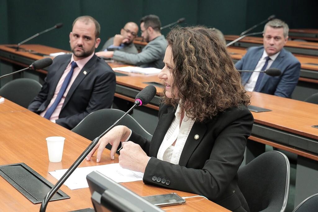 Deputada Marlene Fengler