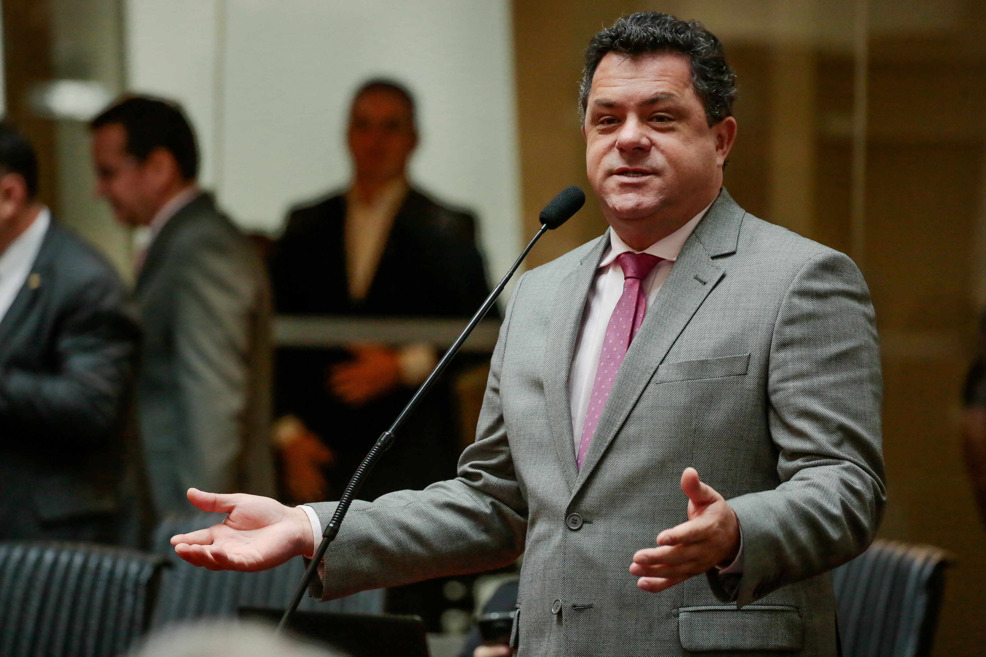 Deputado Ivan Naatz (PV)