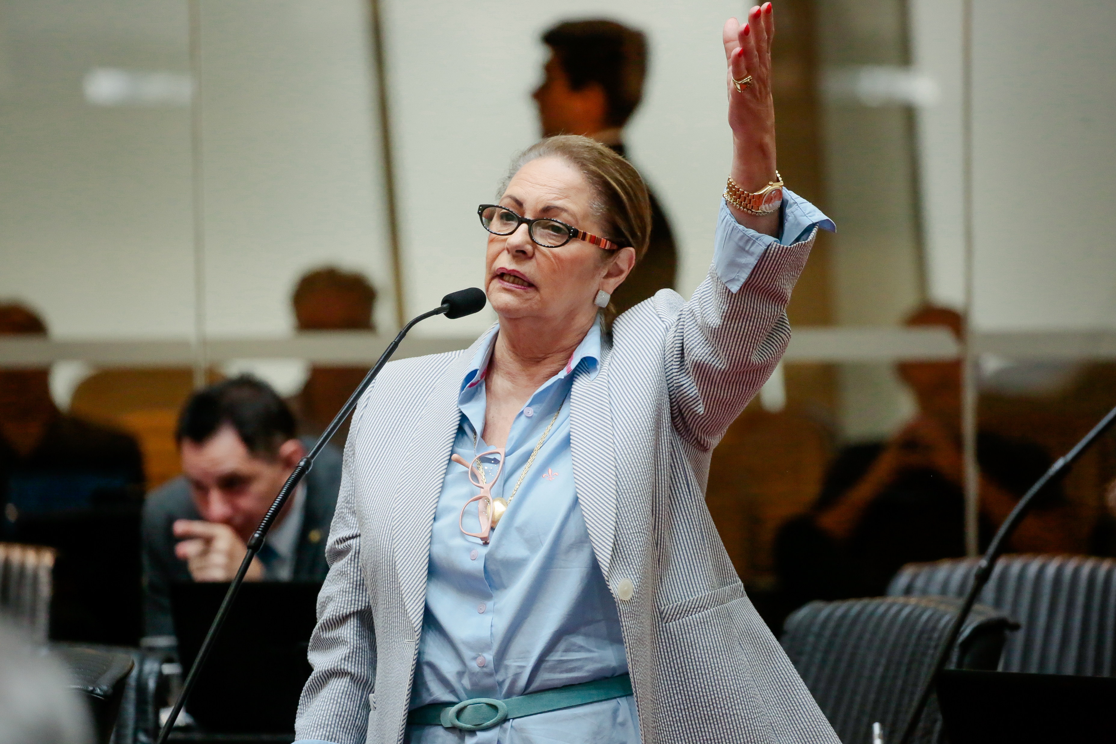 Deputada Ada de Luca (MDB)