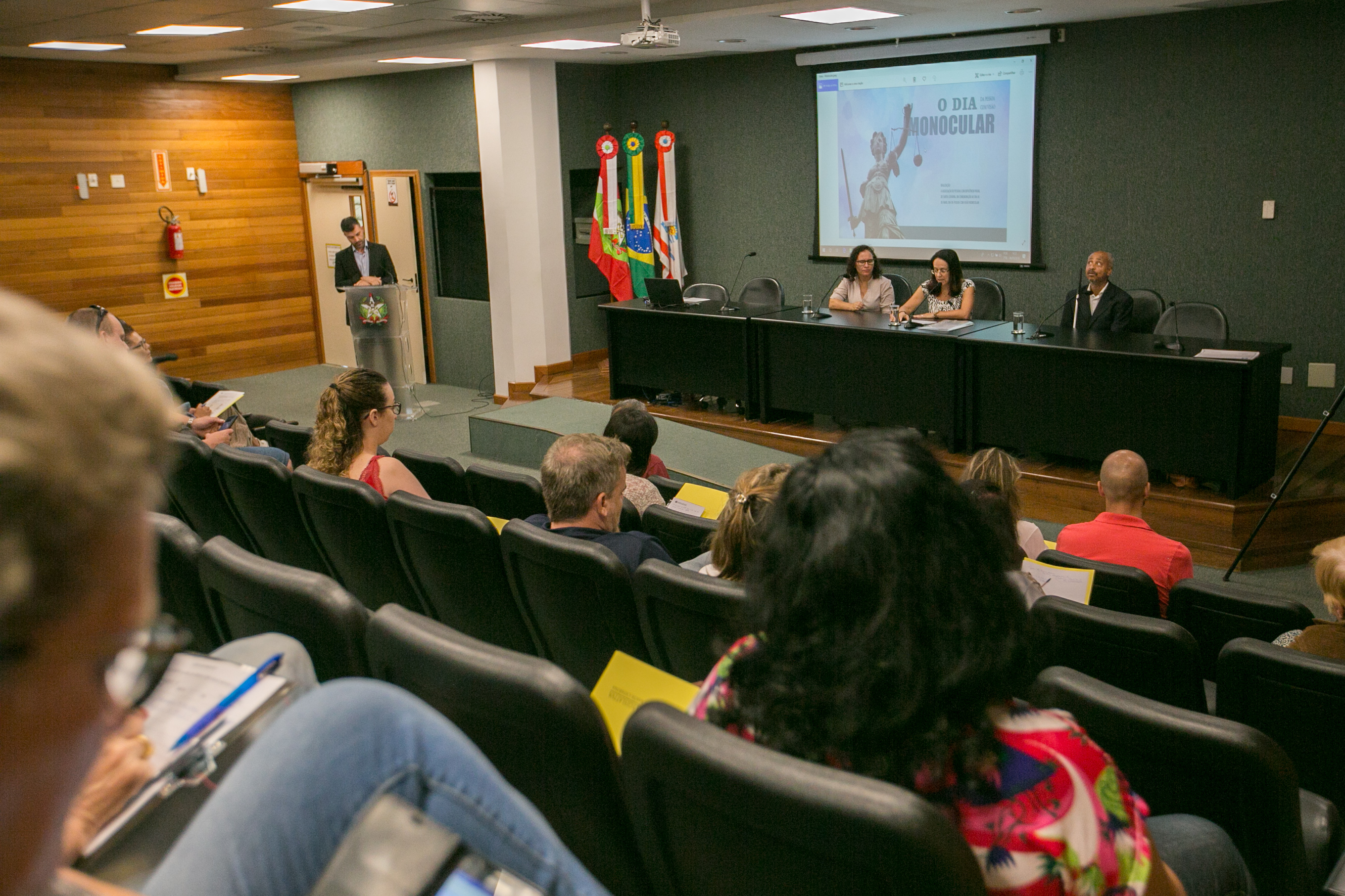 Seminário dia da pessoa com visão Monocular