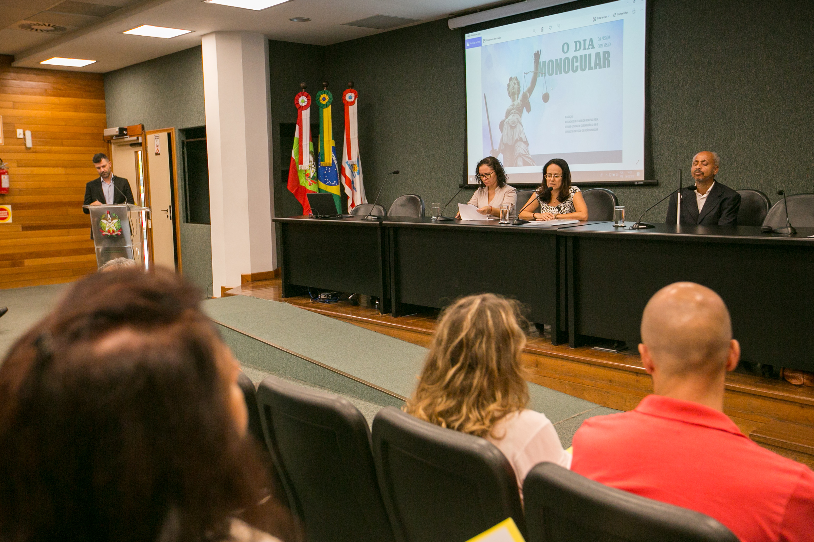 Seminário dia da pessoa com visão Monocular